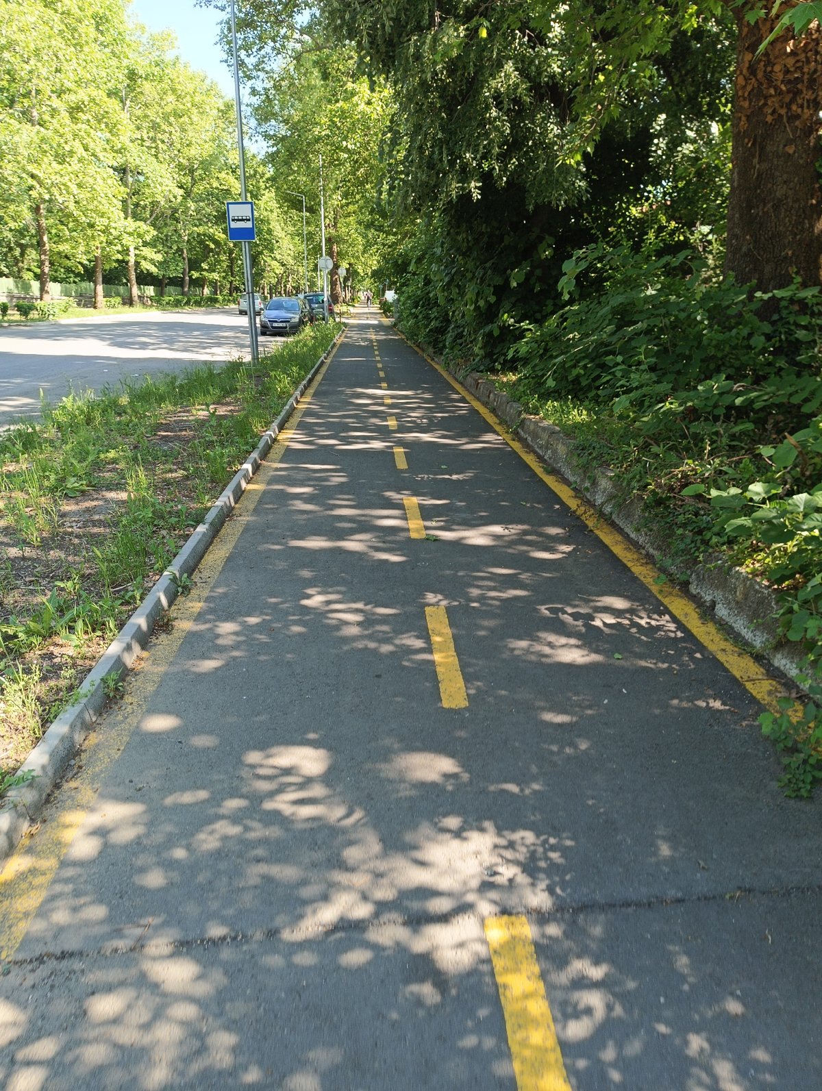 Urban infrastructure observed: marked pathway and metal storage tanks