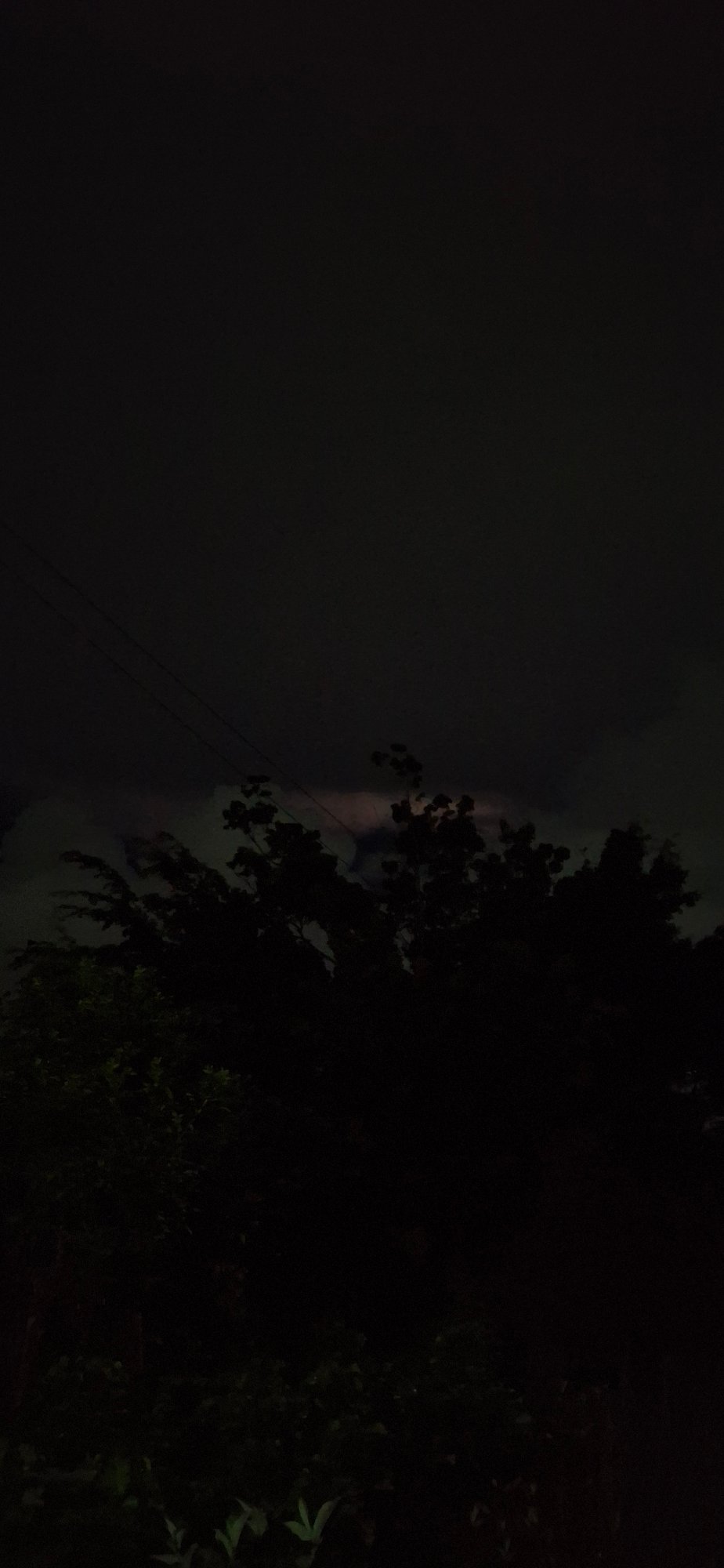 Lightning, roosting chickens, and mangoes on a stormy Venezuelan night