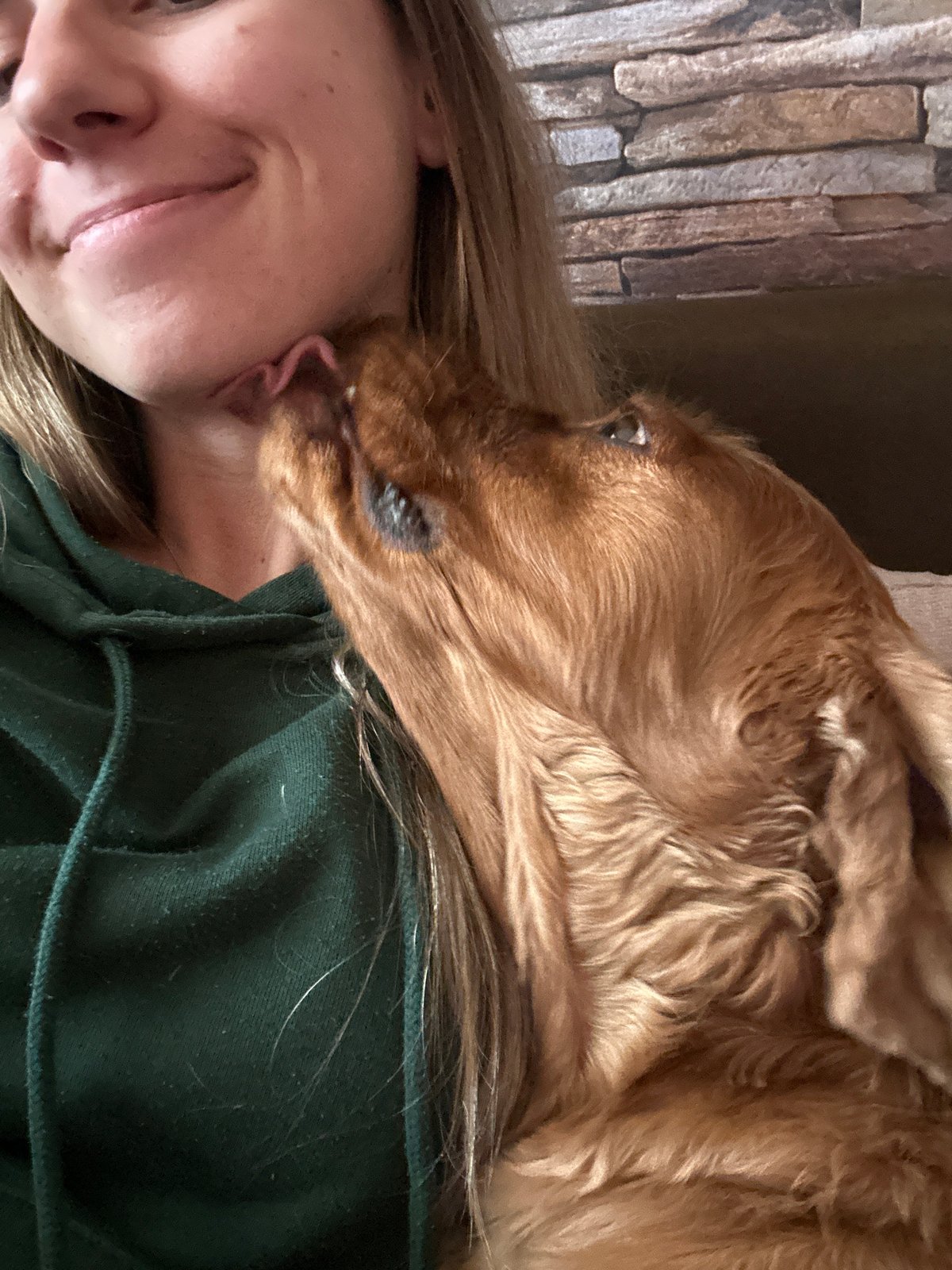 Cocker Spaniel enjoys cuddle time with owner in Sofia