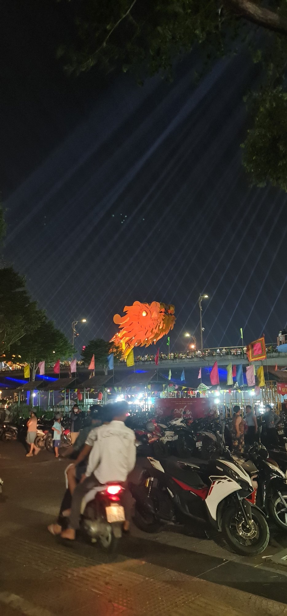 Dragon festival lights up Đà Nẵng streets