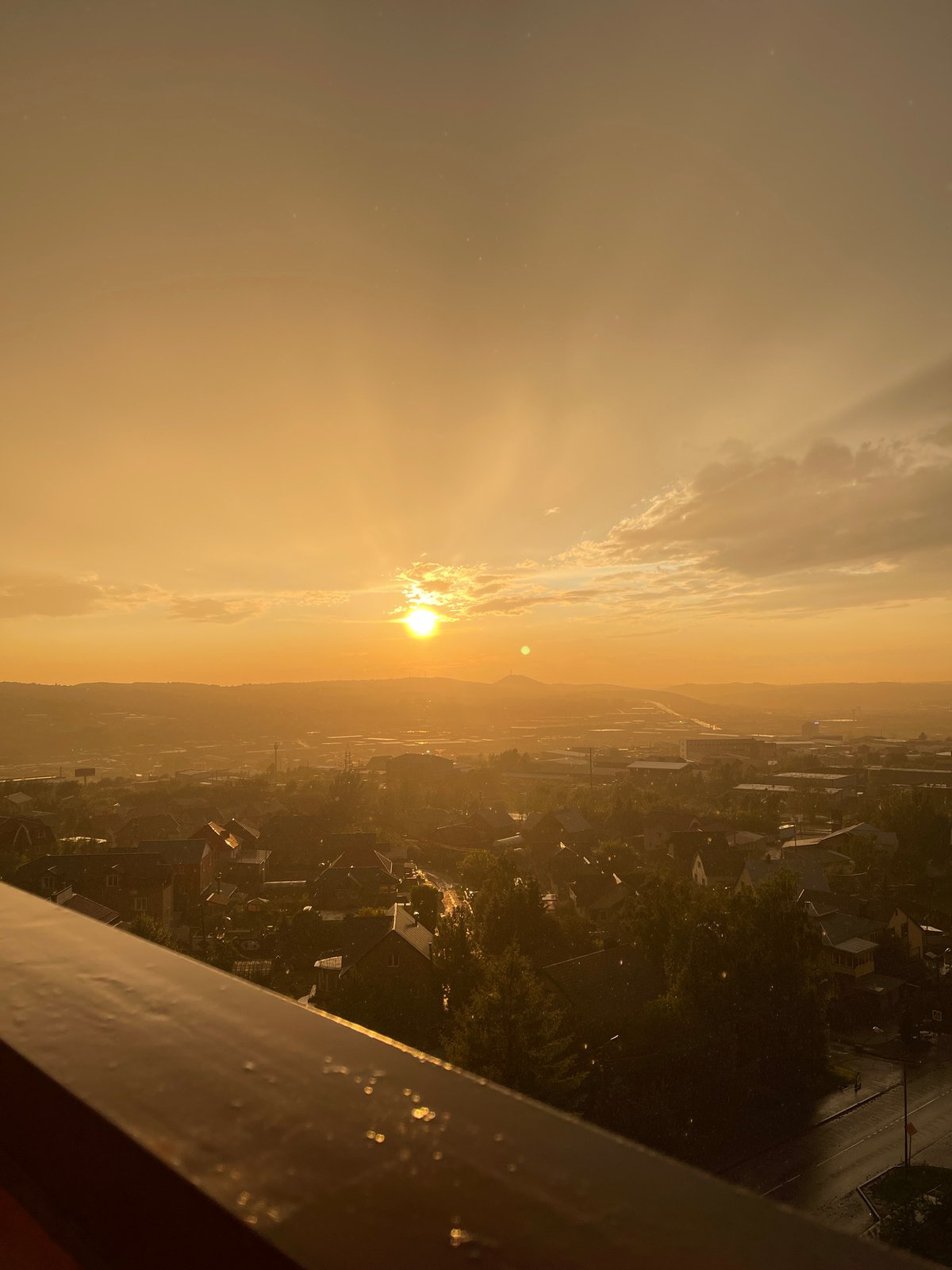 Kitten meets golden hour on a Krasnoyarsk balcony