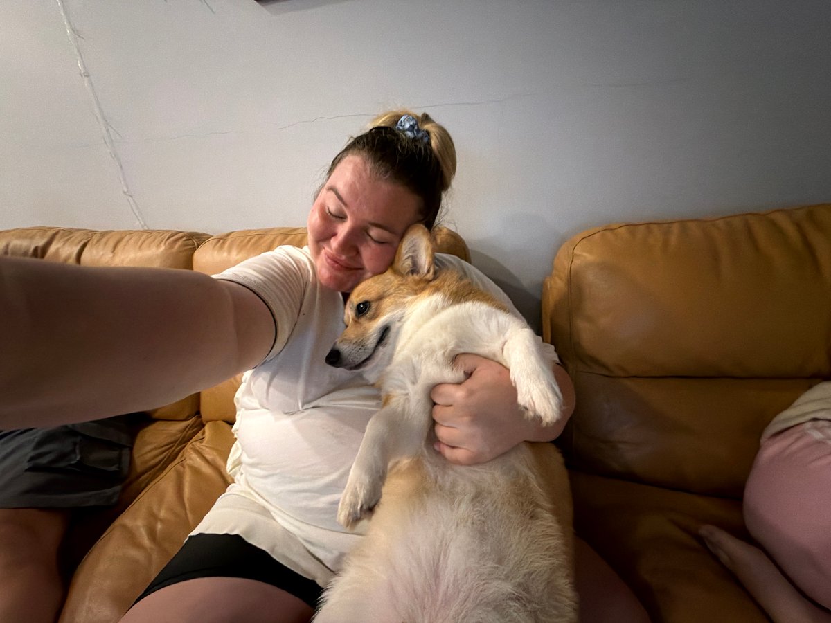 Corgi couch time with friends in Rawai