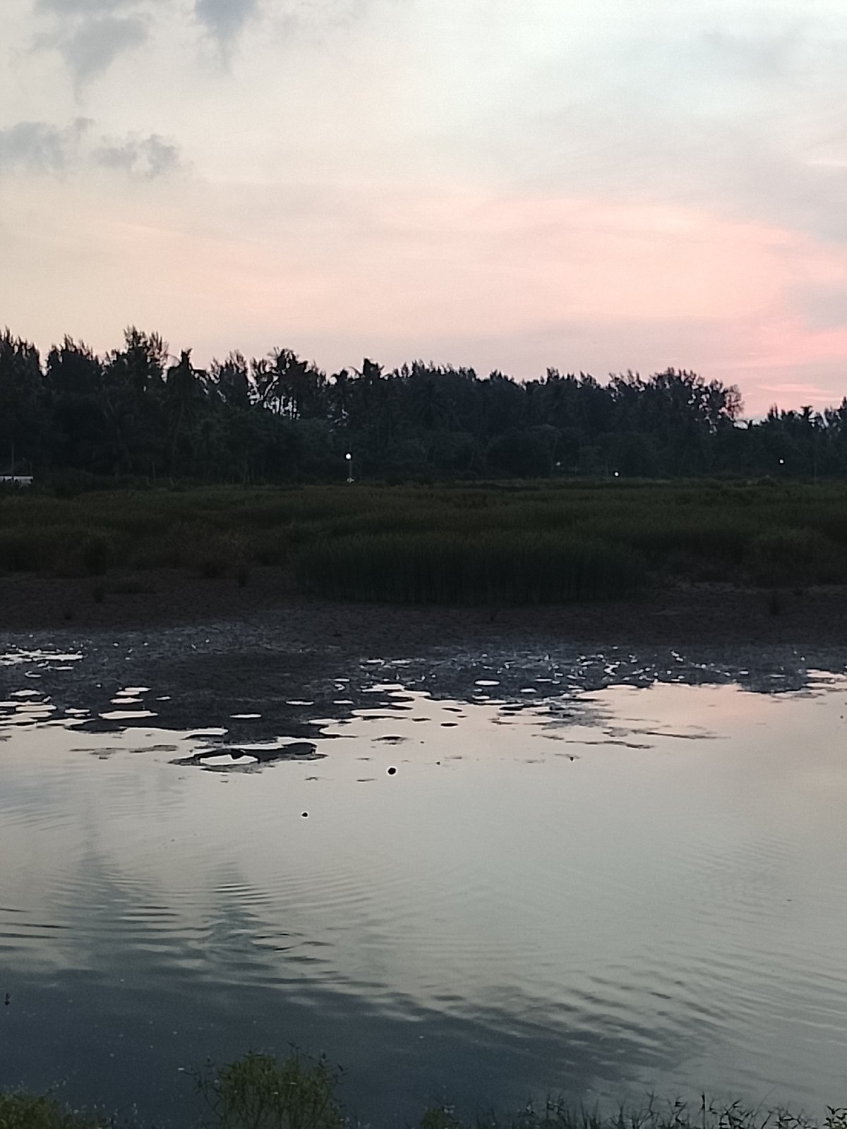 Wetland dusk light along the rural edges of Aceh