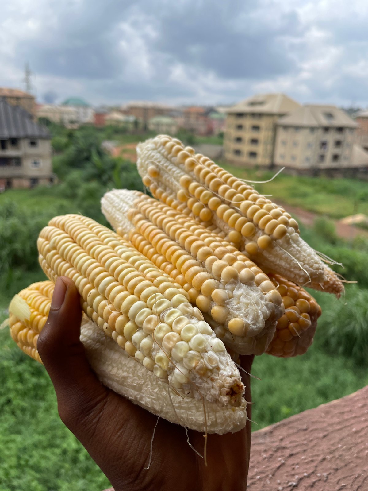 Fresh corn, market fruit, and a ground collapse in Nkpor