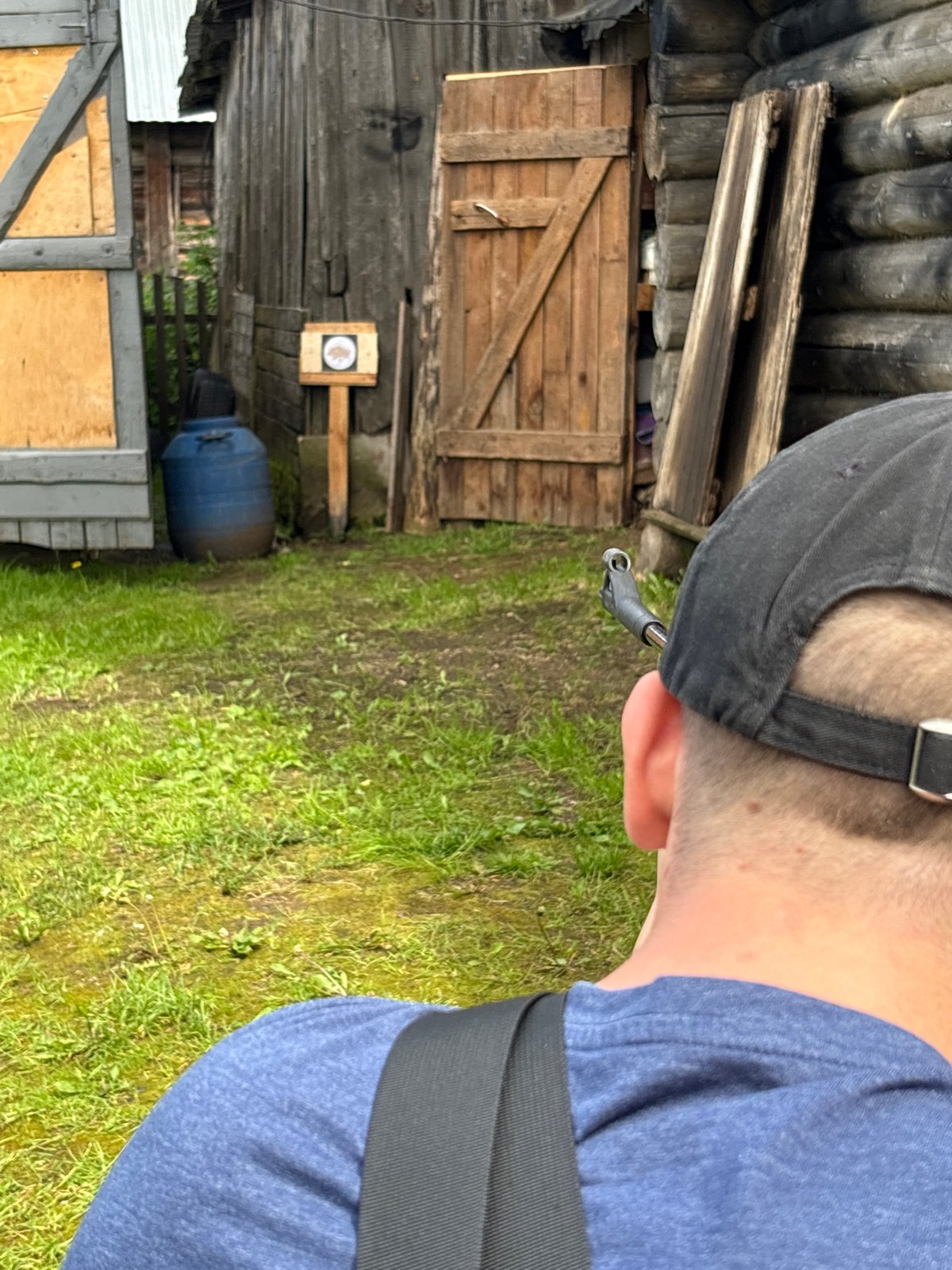 Dacha day in rural Russia: shooting targets, cats, open skies