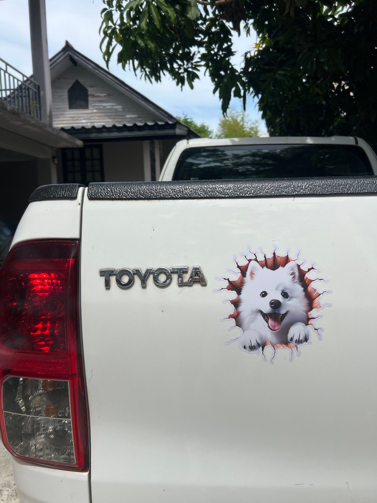 White Toyota pickup spotted with dog sticker in Thailand