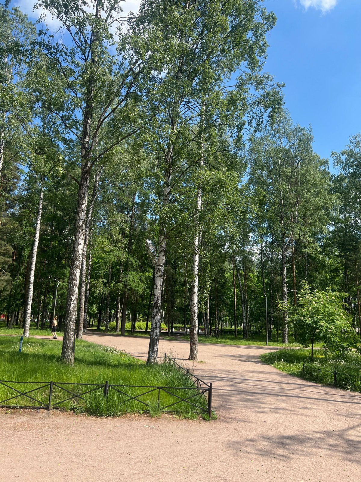 Morning visit to Sosnovka Park documented in Saint Petersburg