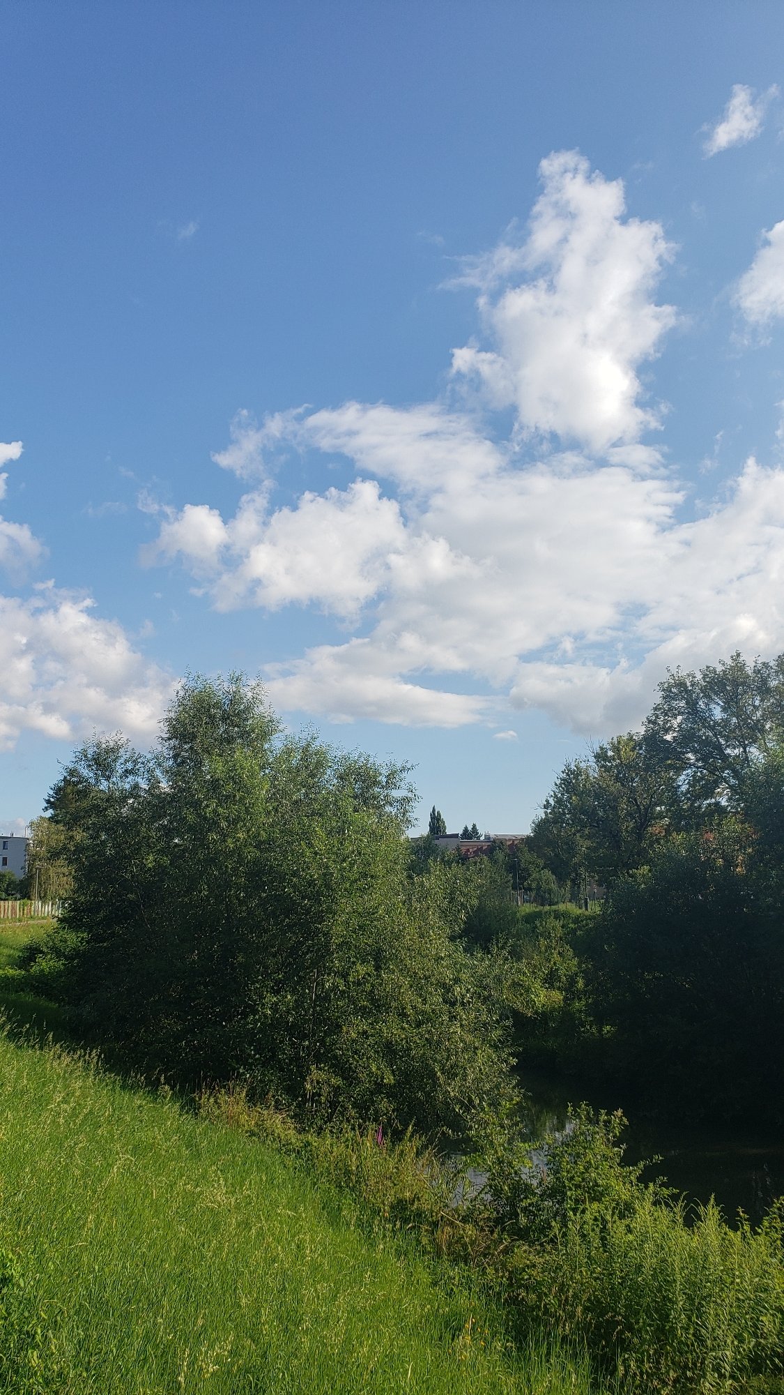 Summer morning across Prešov — parks, rivers, and city streets