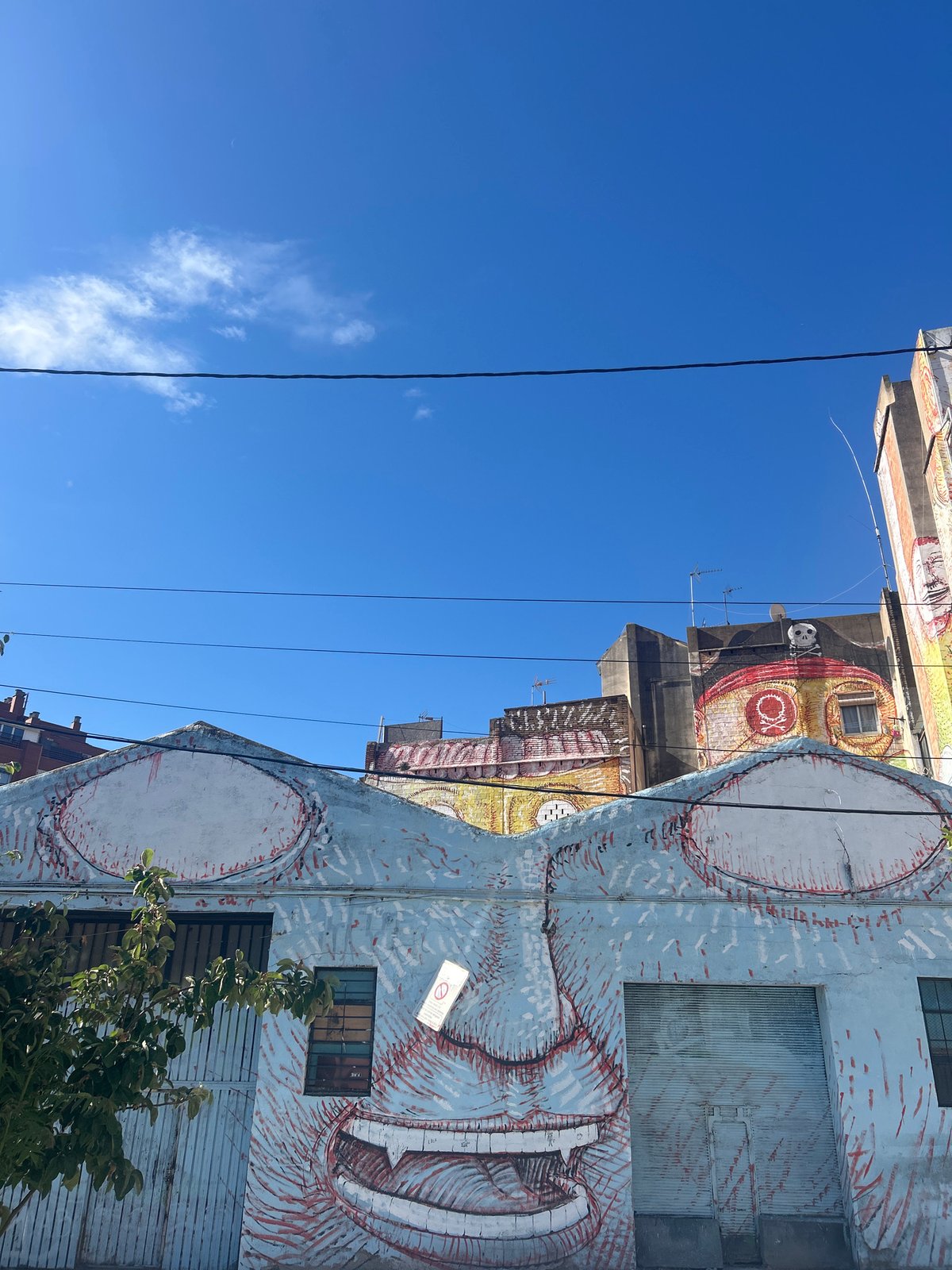 Street art murals documented across Barcelona neighborhoods