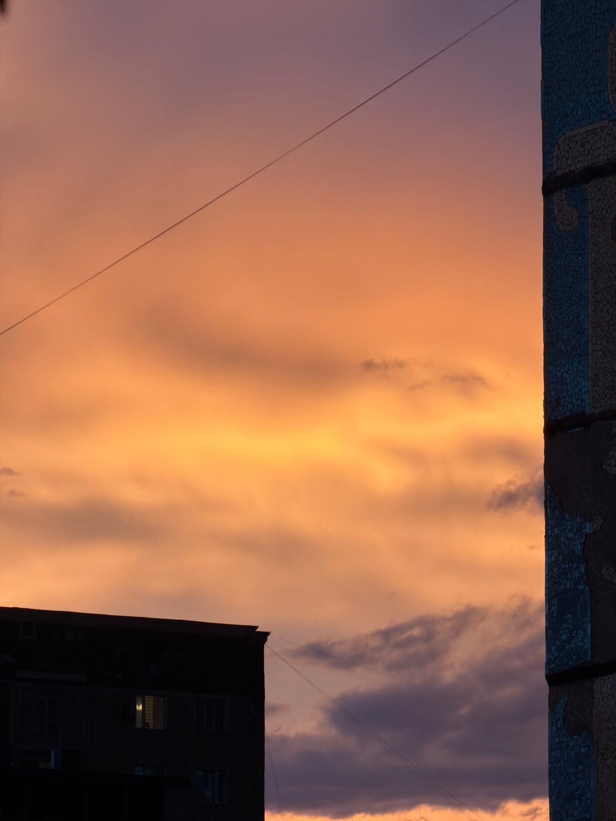 Twilight sky and flower petals observed in rainy Bishkek