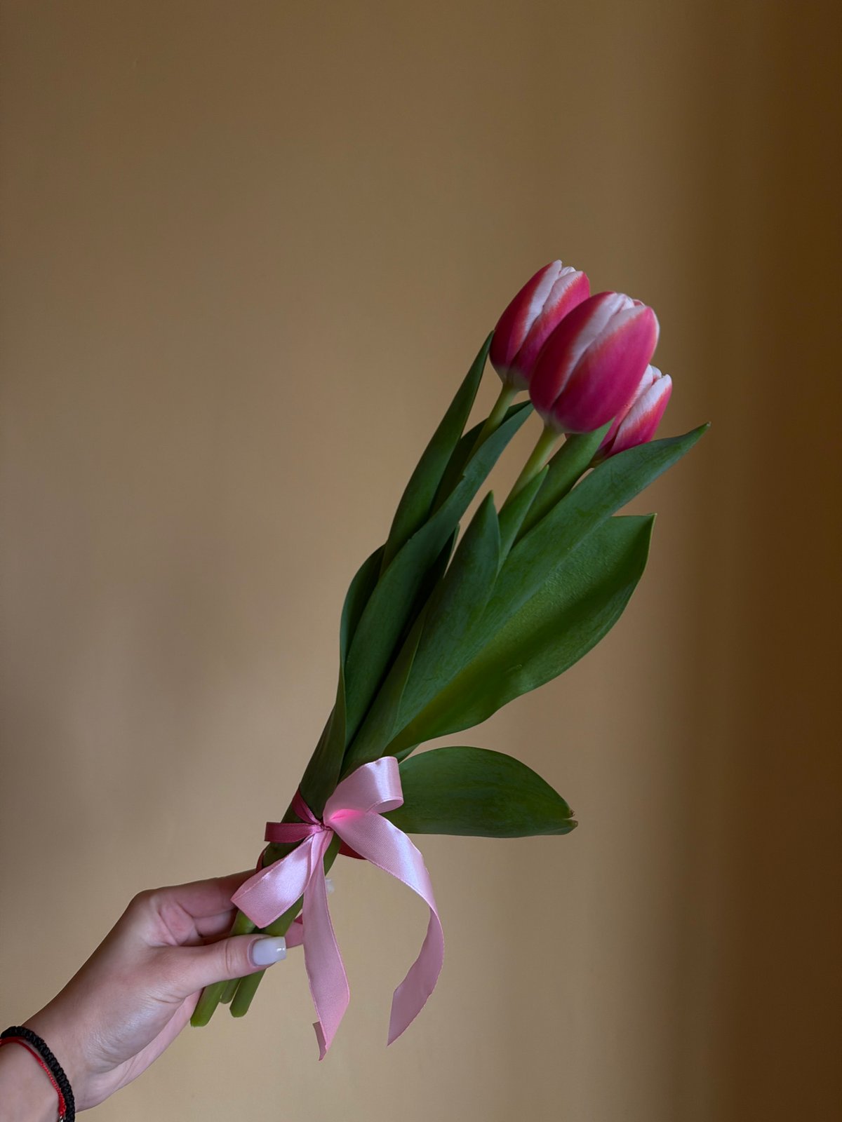 Hand holds three tulips photographed in Lovech, Bulgaria