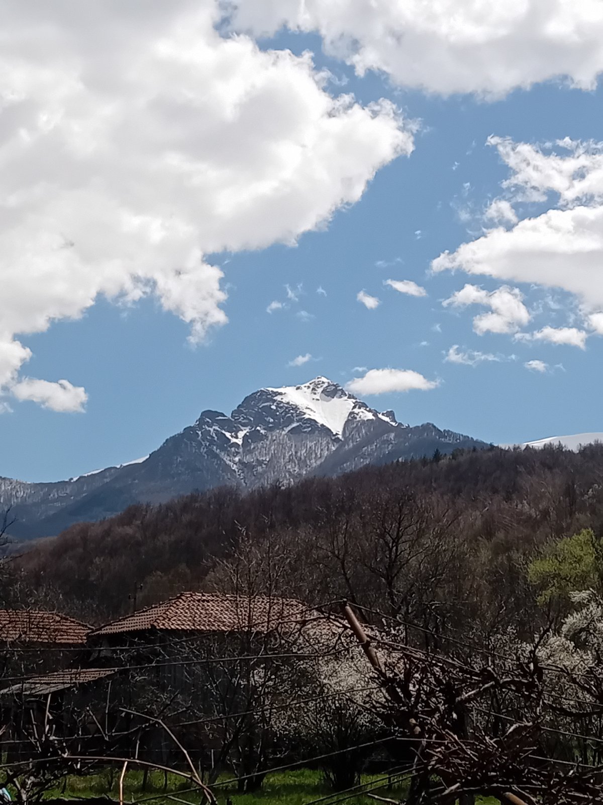 Spring landscape documentation captures mountain views and seasonal wildlife