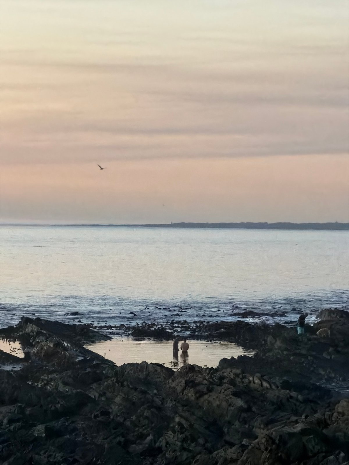 Cape Town residents enjoy sunset stroll along coastal promenade