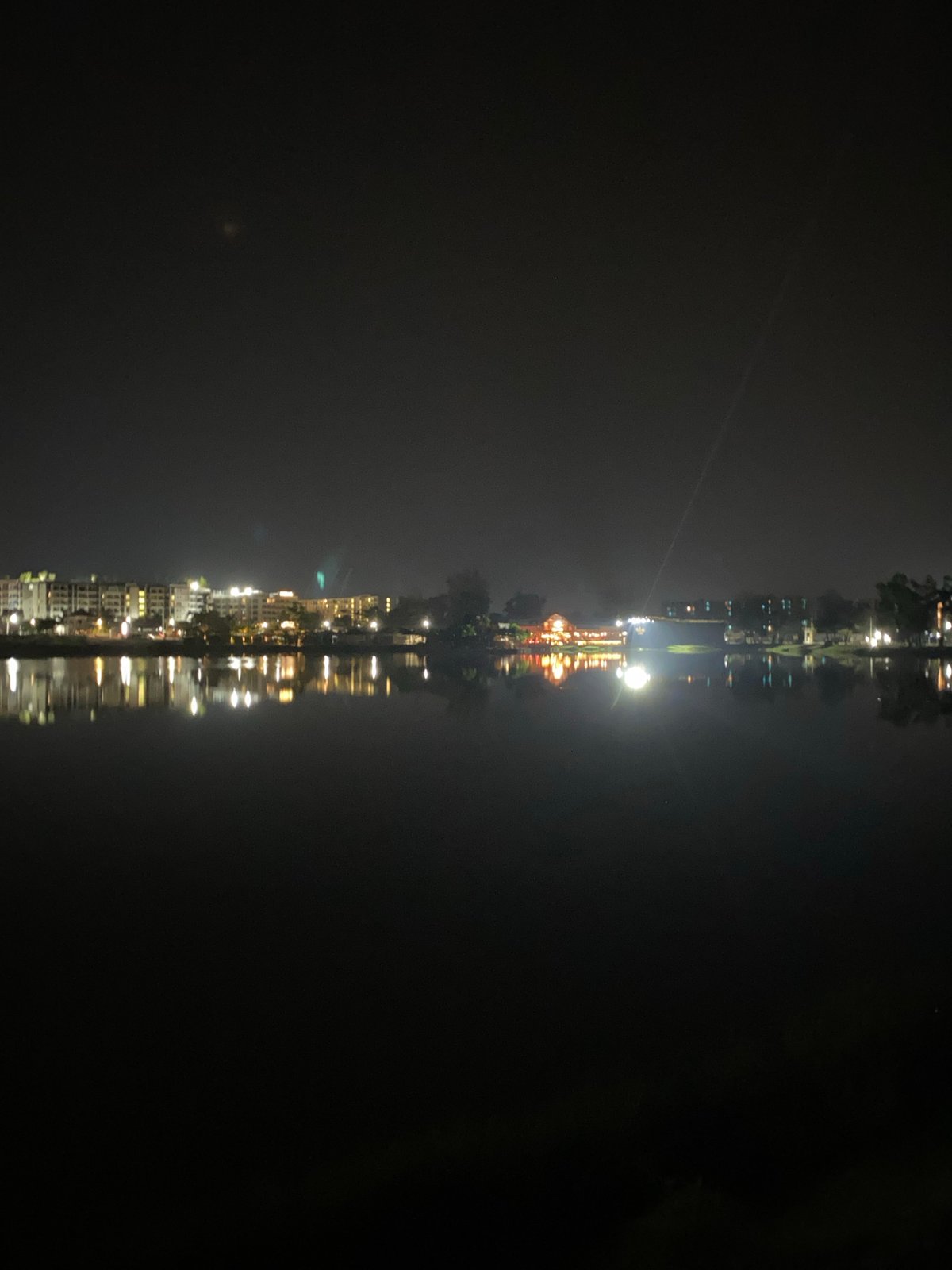 Geese gather by illuminated waterfront building in Thailand nighttime scene