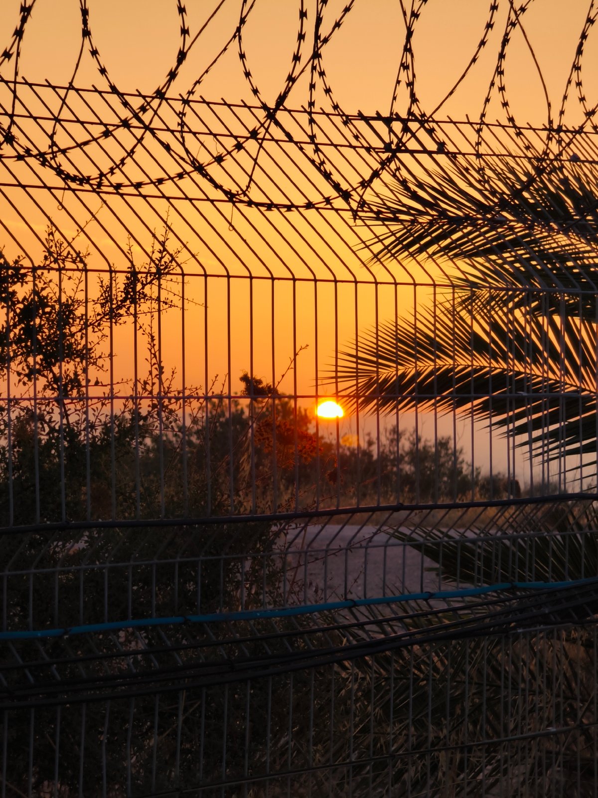 Sunset observed through fencing in Lachish Regional Council, Israel