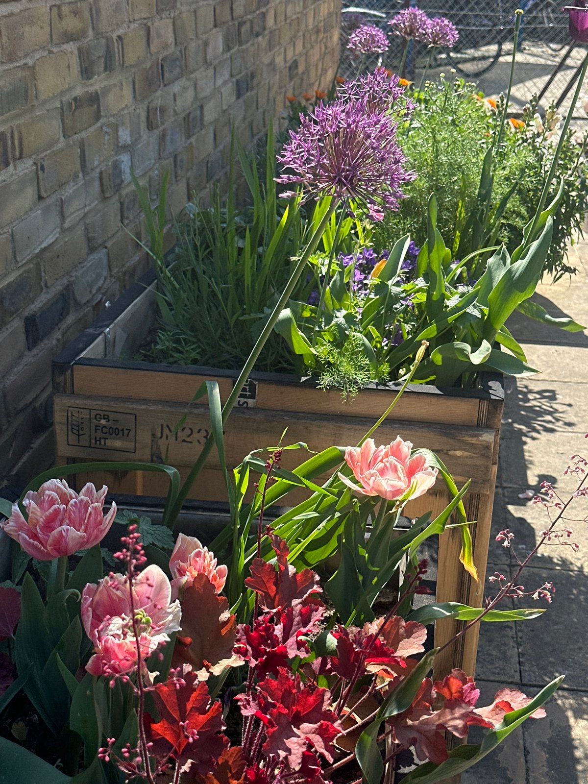 Pallet planter box spotted on London brick pavement
