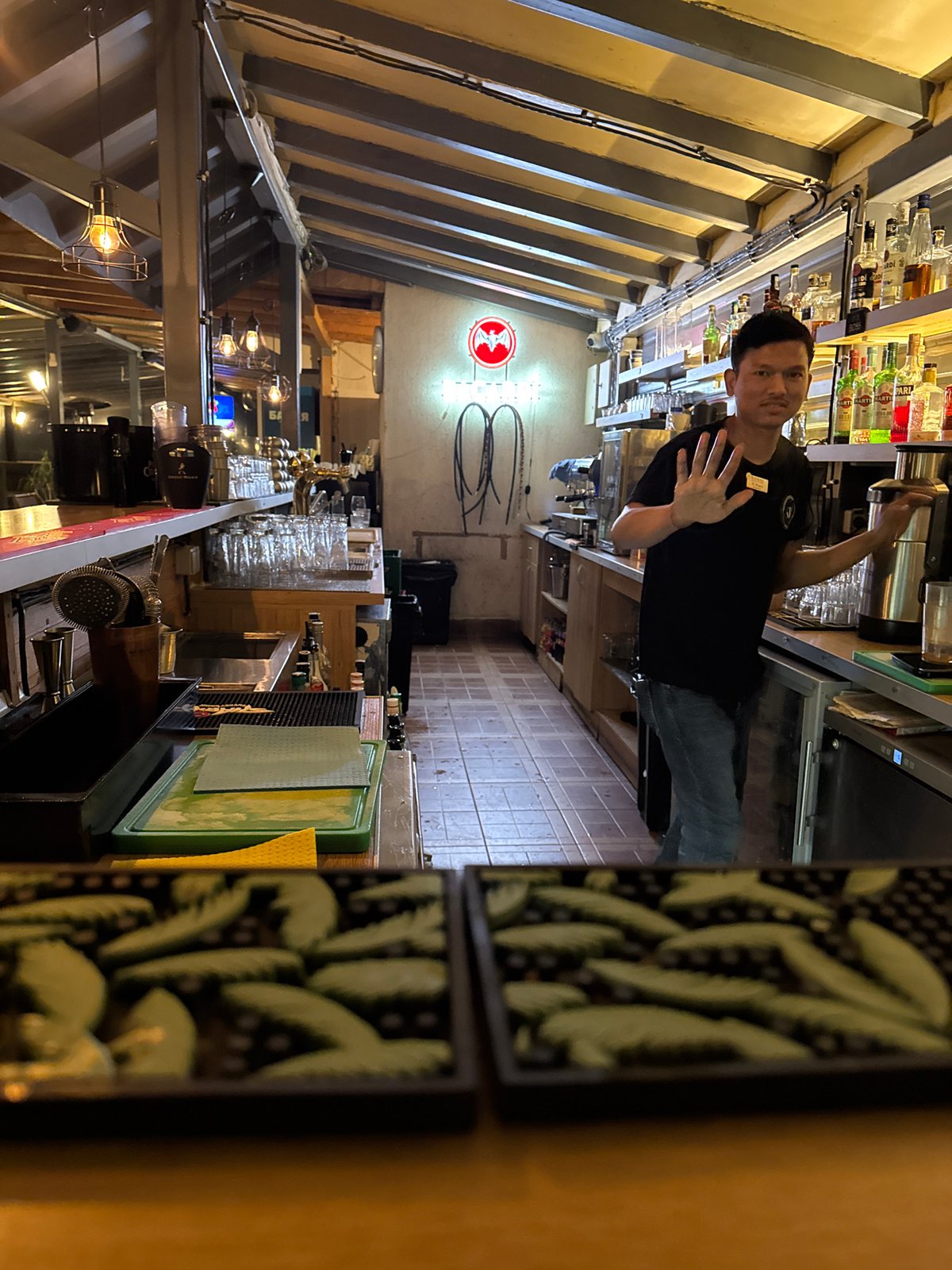 Bartender captured working evening shift at Ruse bar