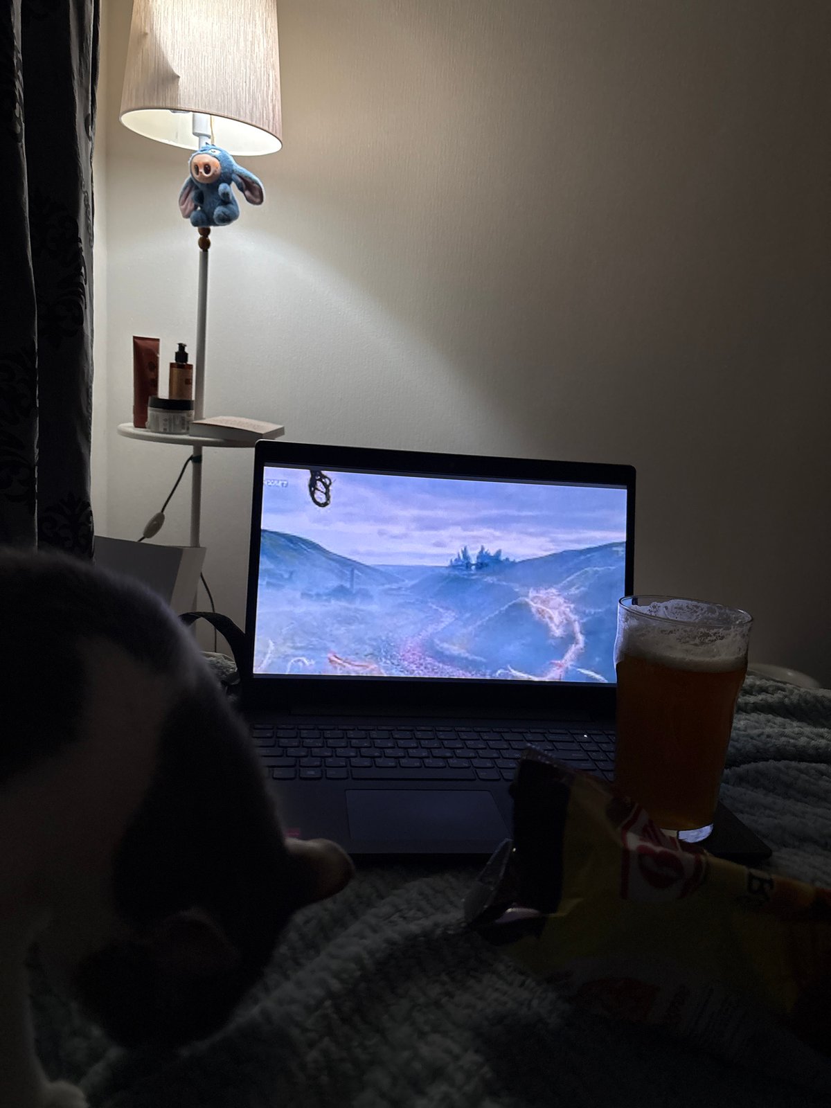 Indoor leisure time with laptop entertainment in Ust-Ilimsk