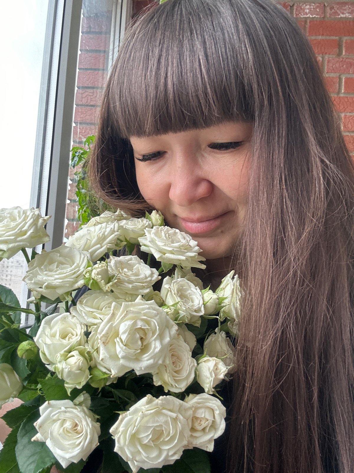 White roses, a Persian cat, and coffee on a summer evening