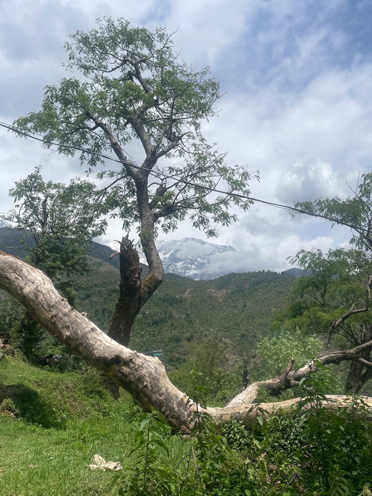 Morning scenes of everyday life documented in Dharamshala, India