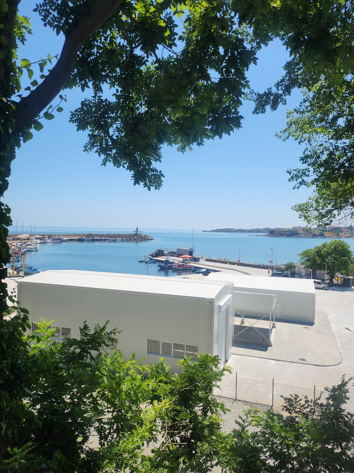Tsarevo harbor viewed through summer foliage on a clear morning