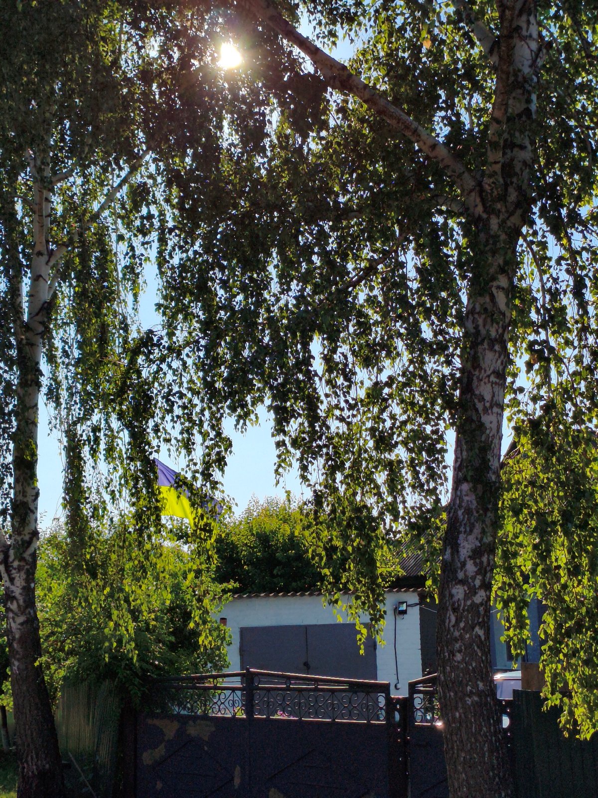 Rural Ustyvytsia: harvest season, stork nests, and village life
