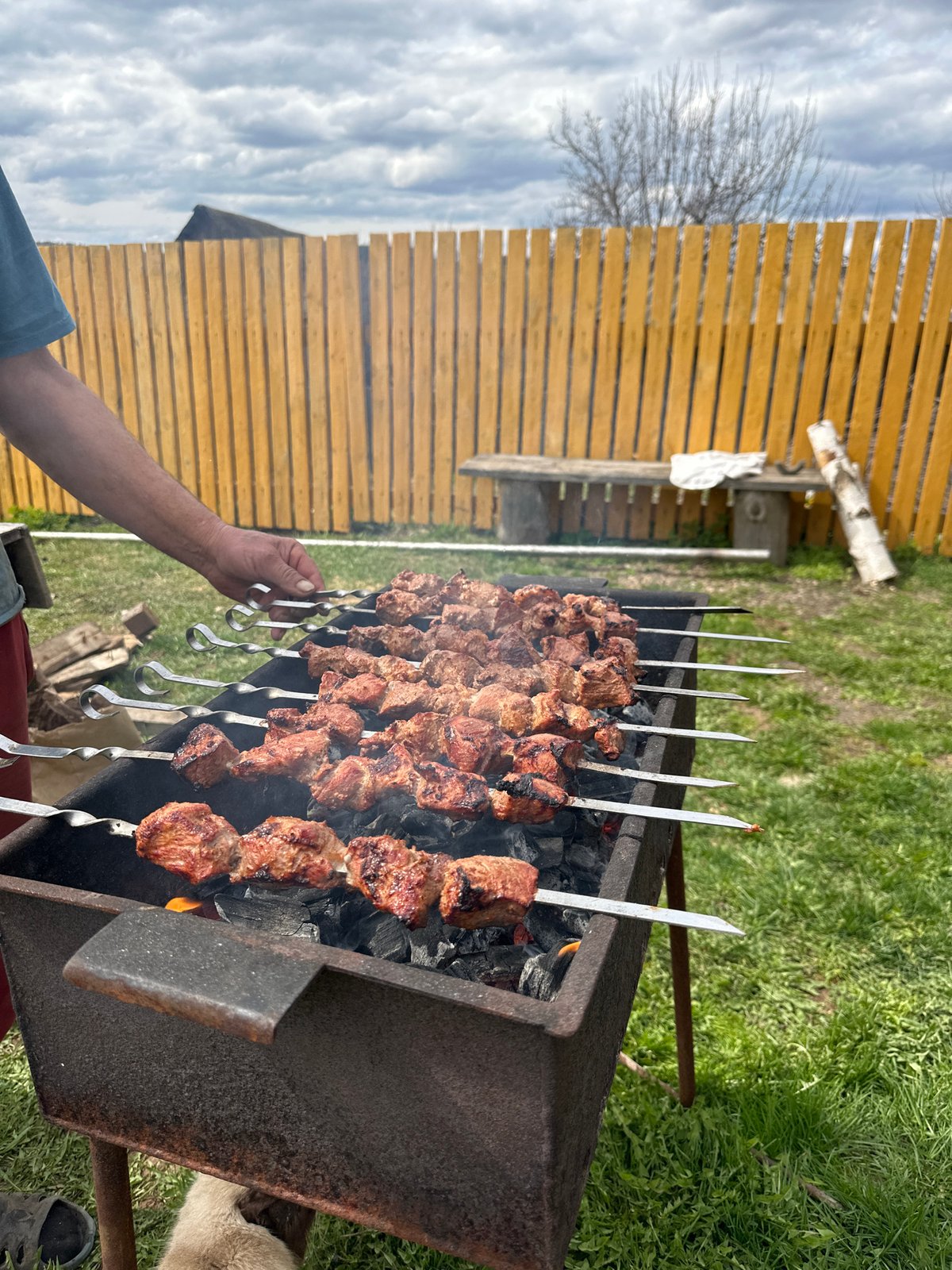 Backyard barbecue and chicken tending documented in rural Russia