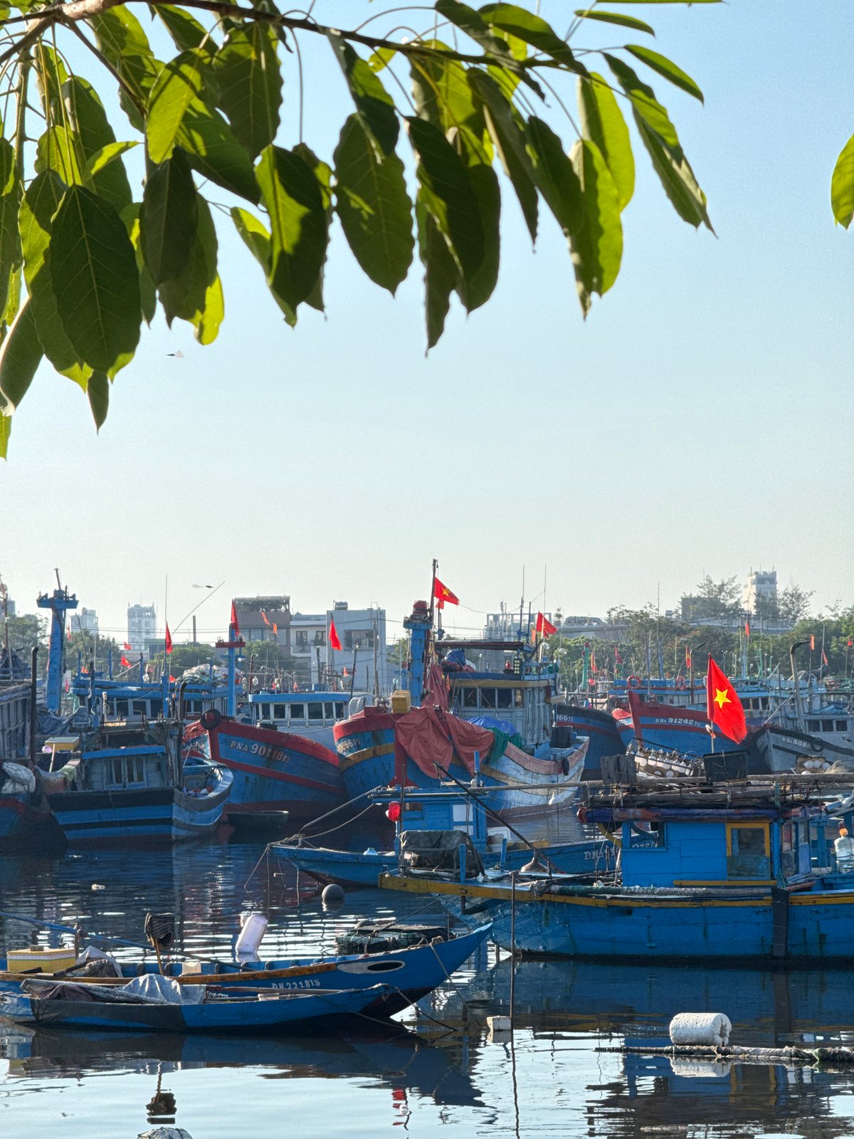 Harbor life and vintage interiors in Đà Nẵng