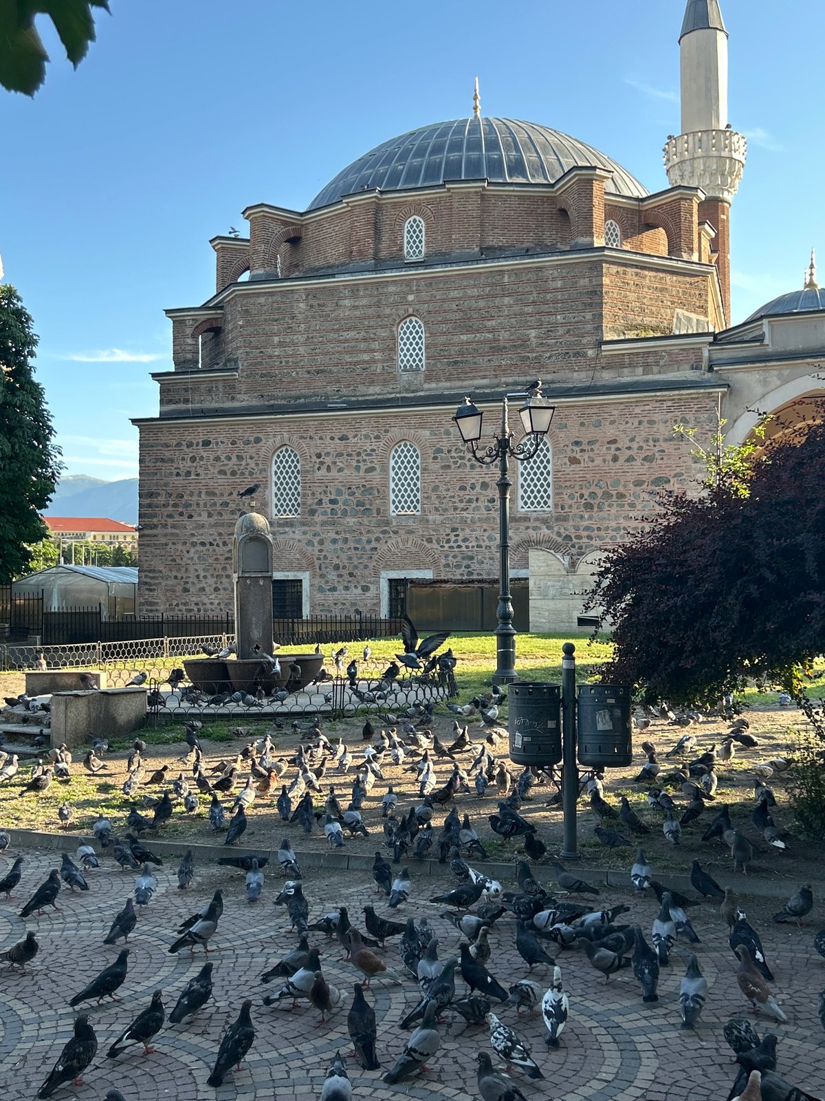 Sofia landmarks and street life documented in afternoon tour