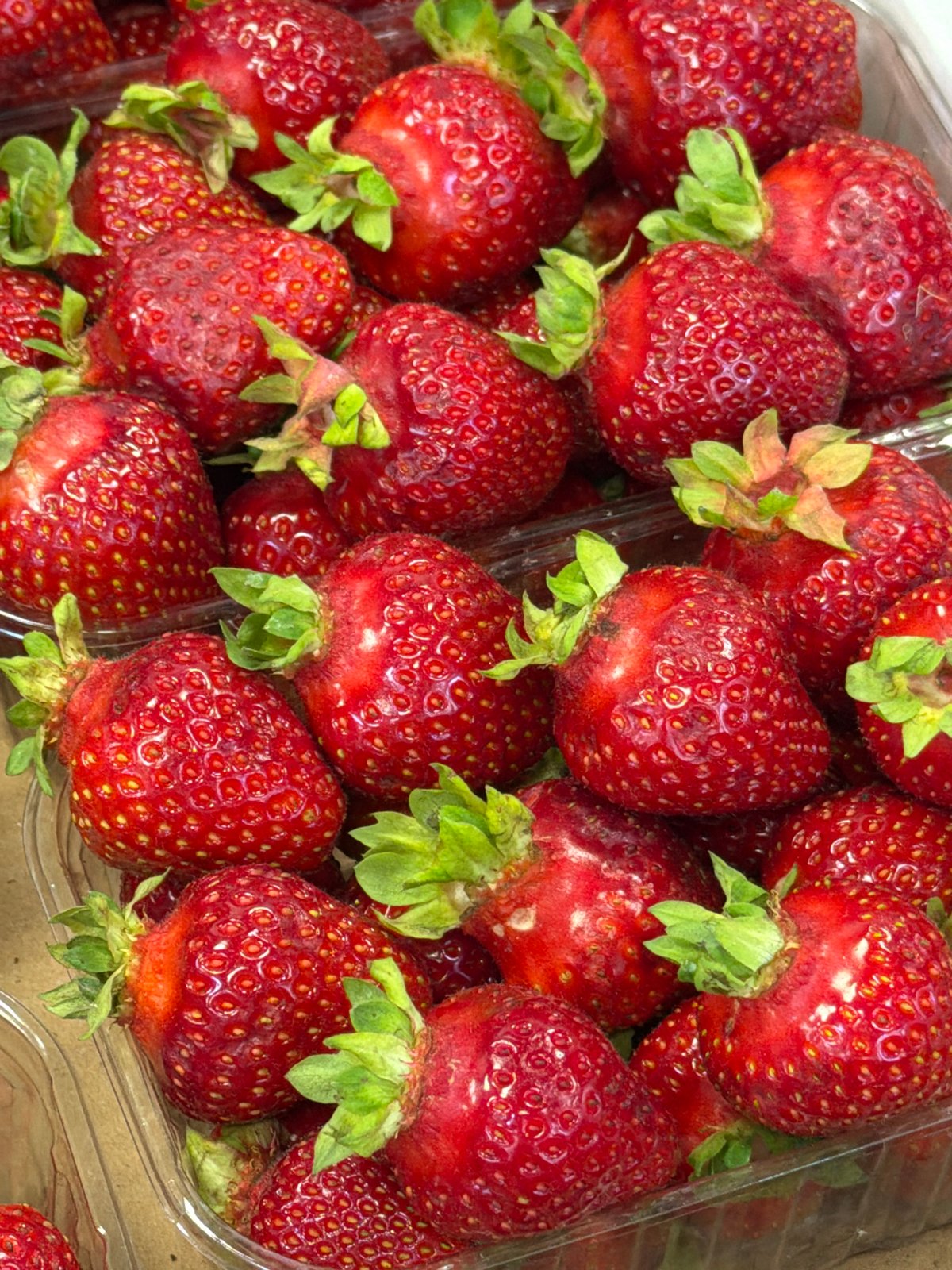 Summer market finds and street scenes in Saint Petersburg