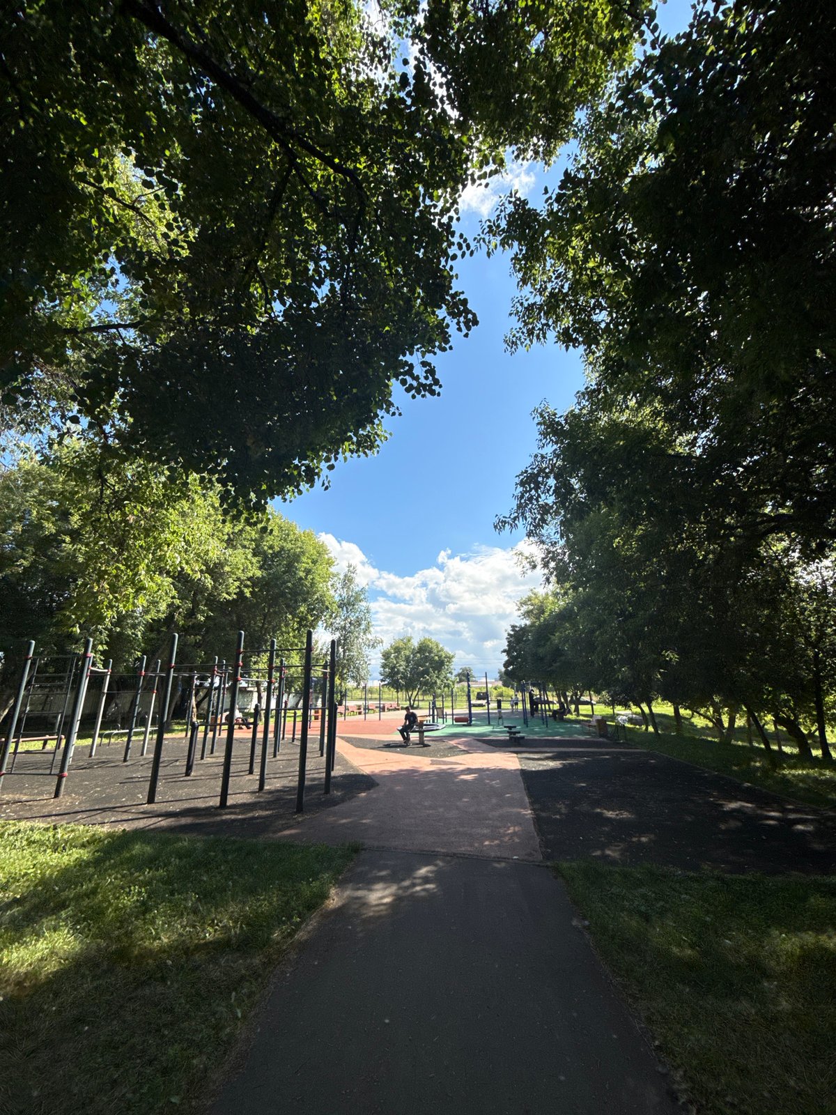 Lazy summer afternoon at a Moscow neighborhood park pond