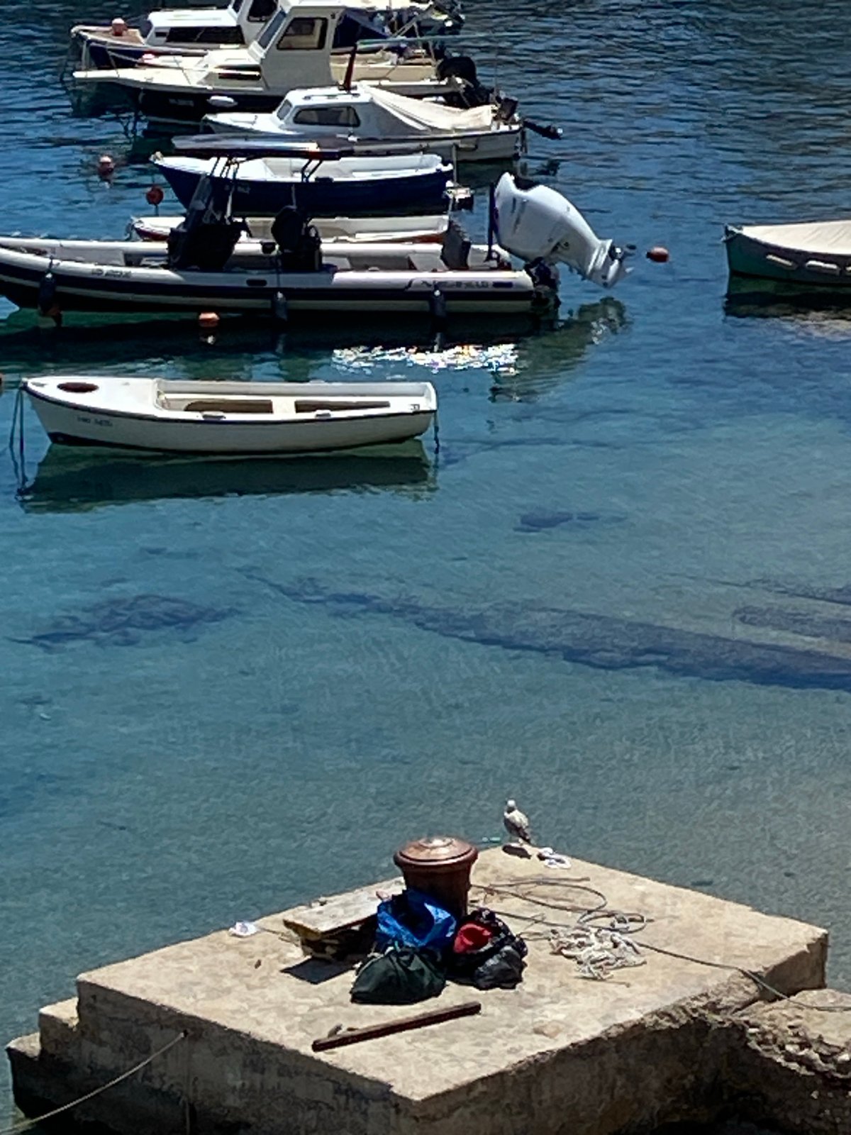 Midday in Dubrovnik's Old Town: harbor, palaces, and plazas