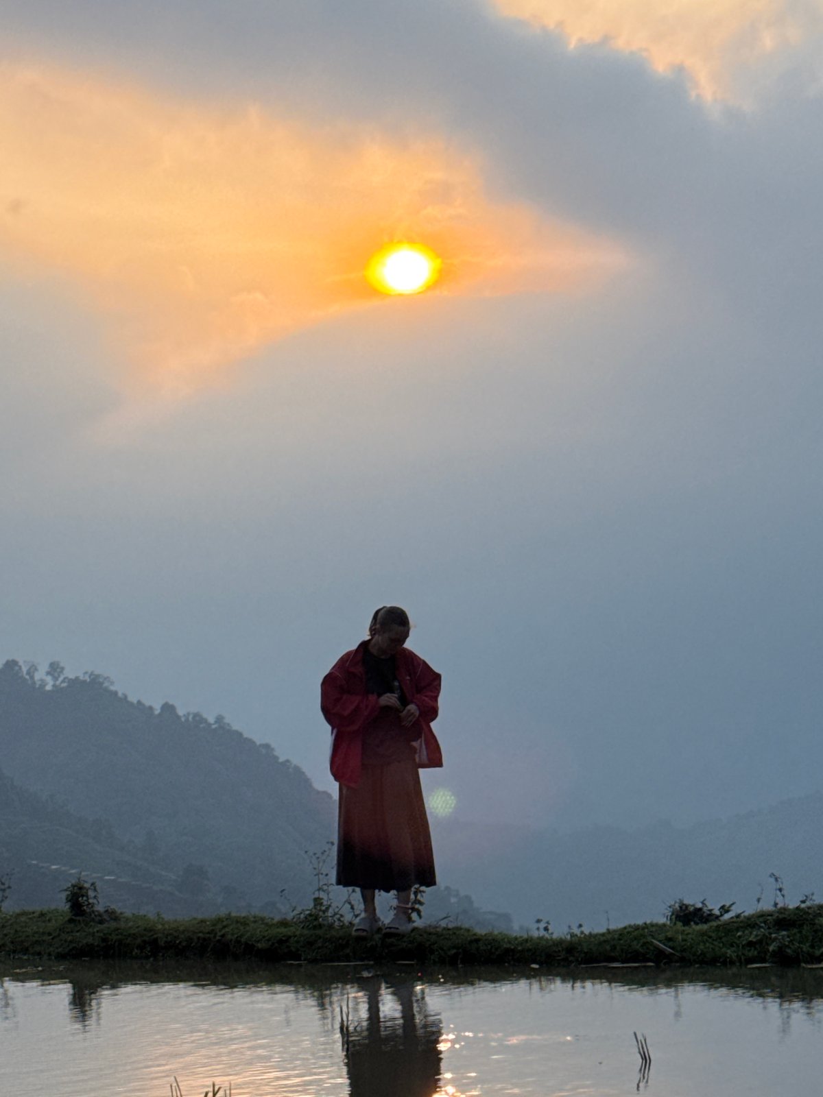Woman walks through flooded rice paddies at dawn Vietnam