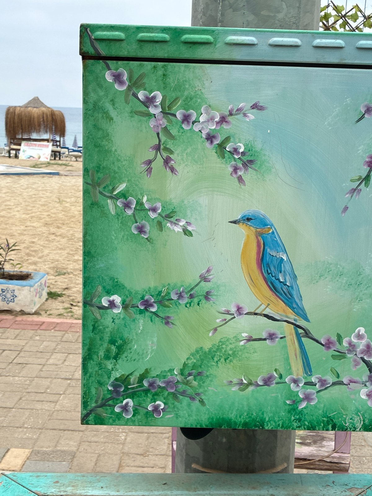 Morning street life documented in Turkish coastal resort town