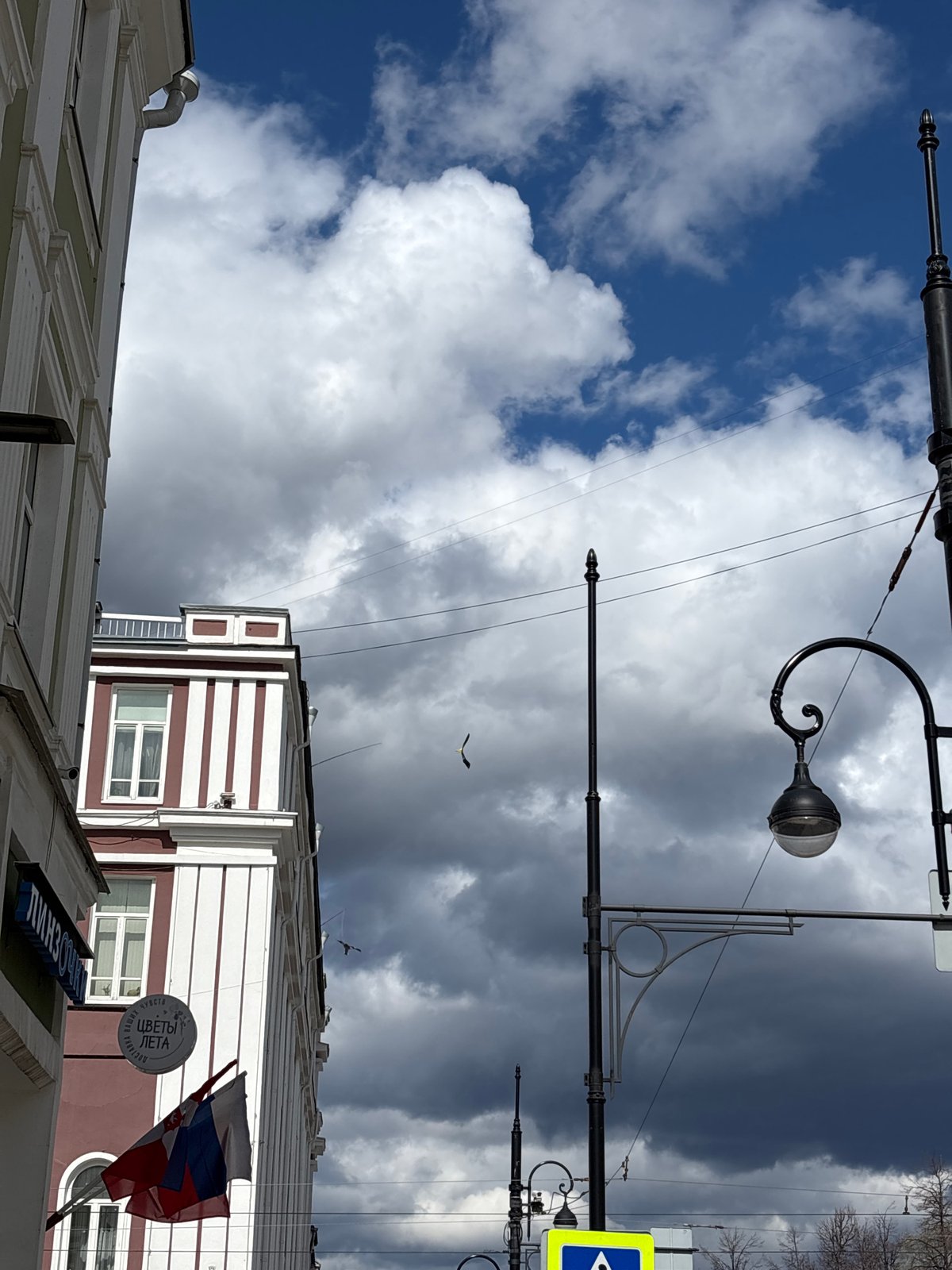 Morning life captured in Perm: skies, portraits, pigeons