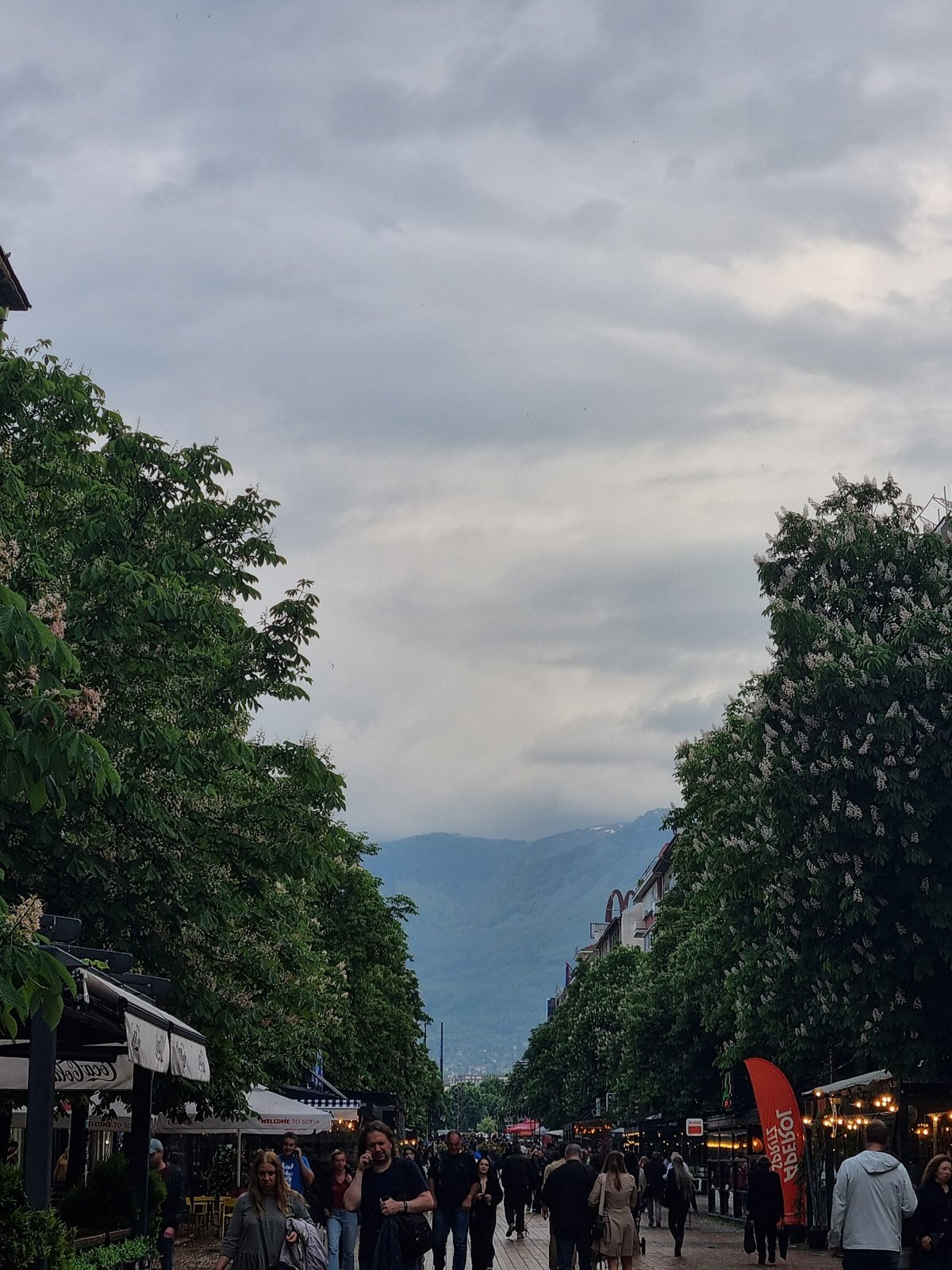 Pedestrians stroll tree-lined Sofia street under overcast skies