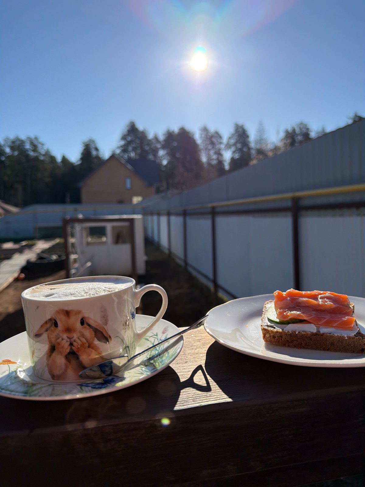 Morning coffee and salmon sandwich breakfast in Chaikovsky, Russia