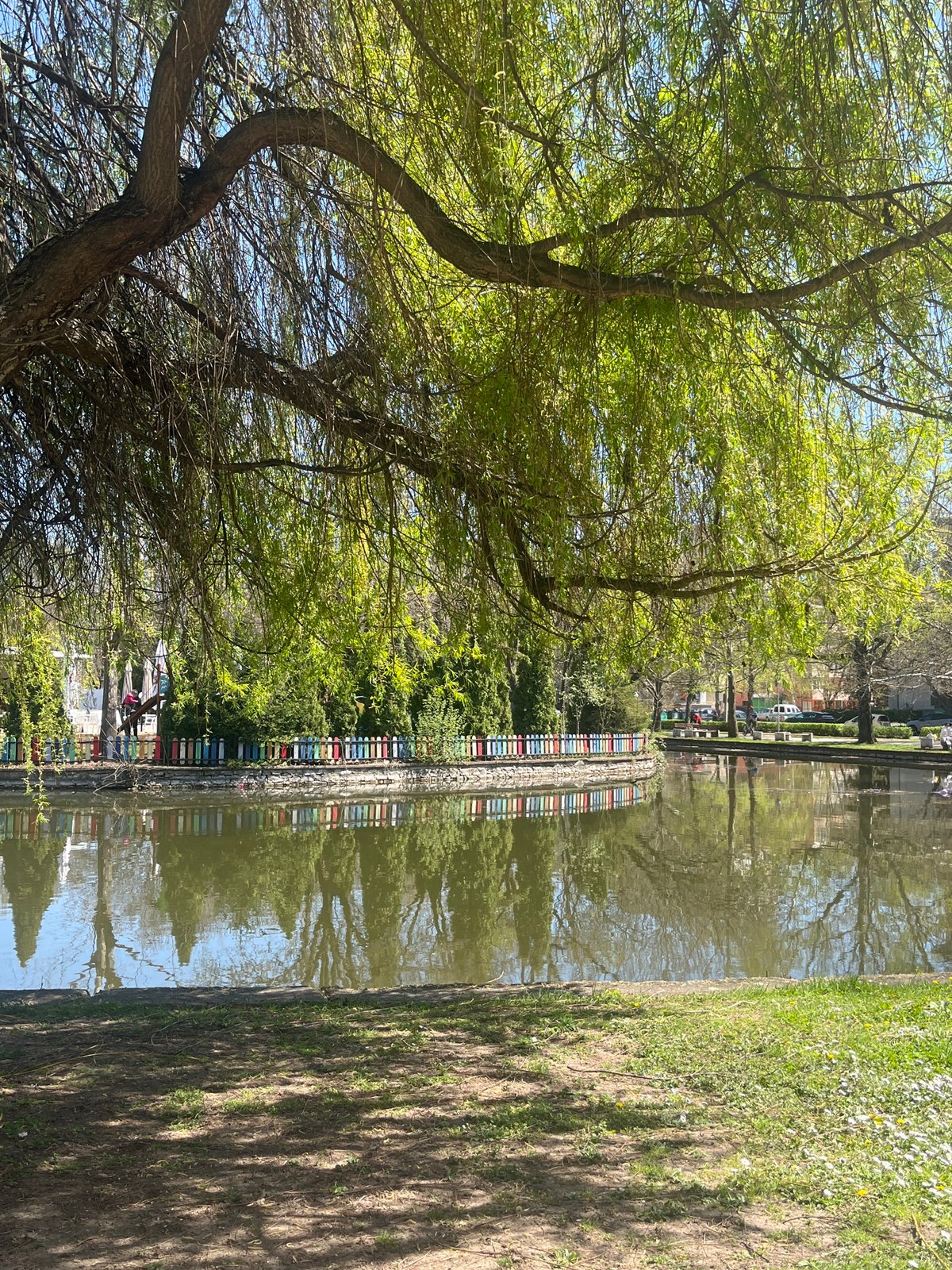 Morning scenes captured along Montana Bulgaria canal and parkland