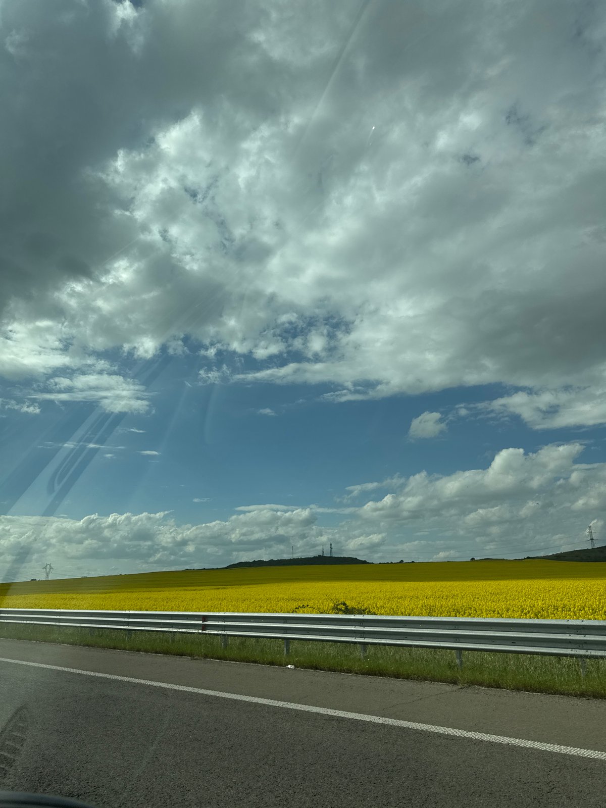 Motorist captures yellow flower fields near Bulgarovo, Bulgaria