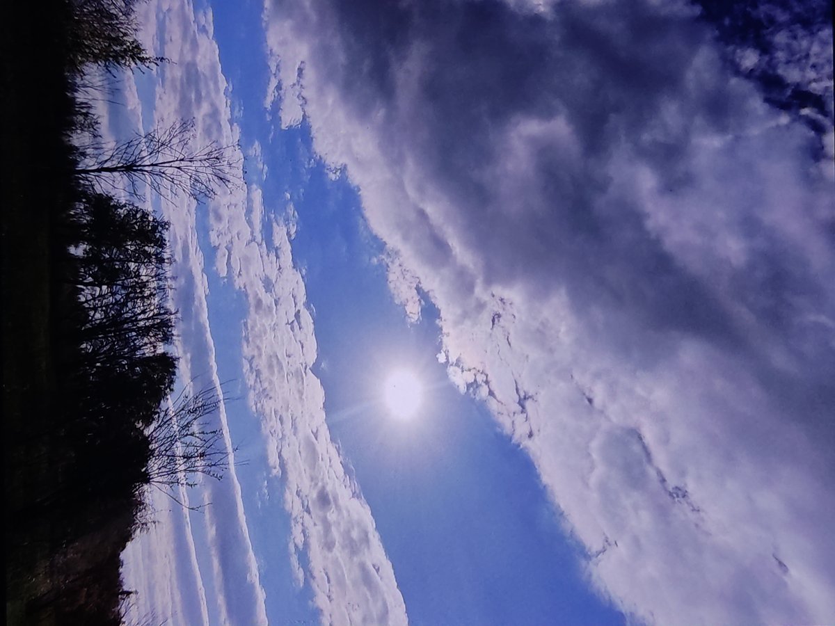 Natural scenes and tree work in Marianivka, Ukraine