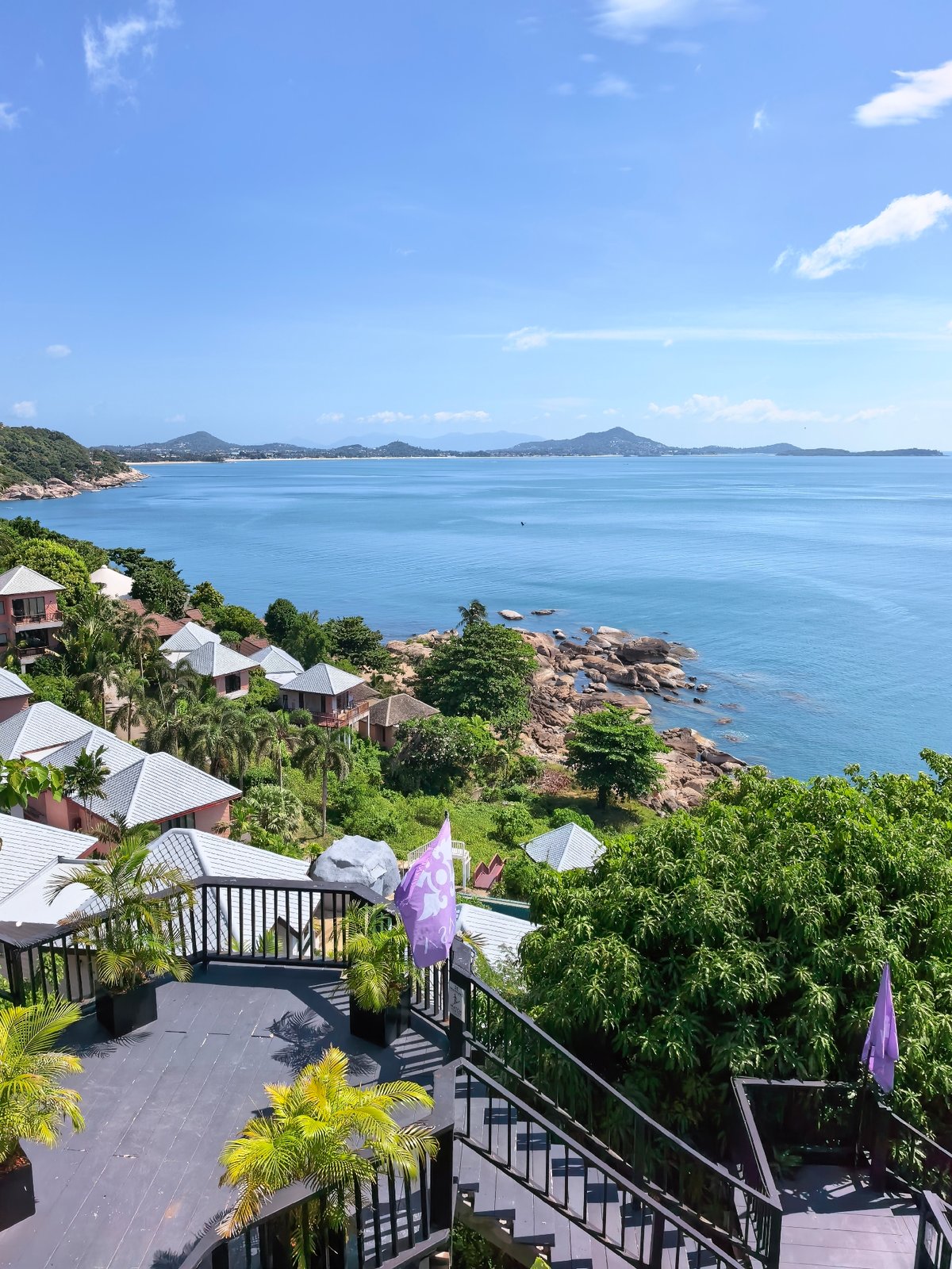 Winding coastal road and ocean-view bar in a tropical hillside setting