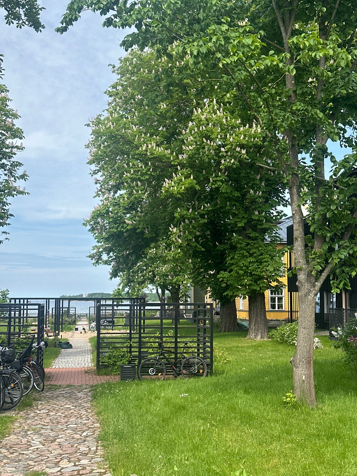 Urban walkthrough documents Tallinn neighborhood infrastructure and residential scenes