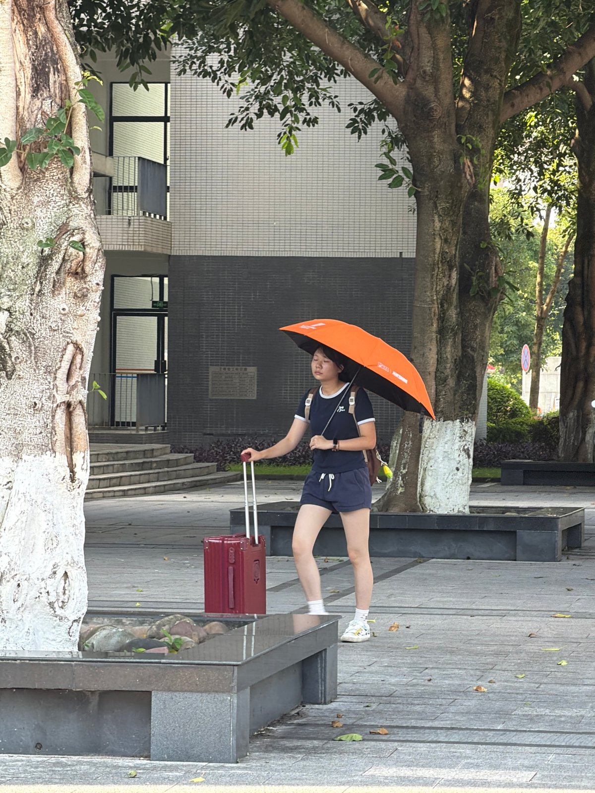 Flag-bearing group assembles on university steps in Jiangjin