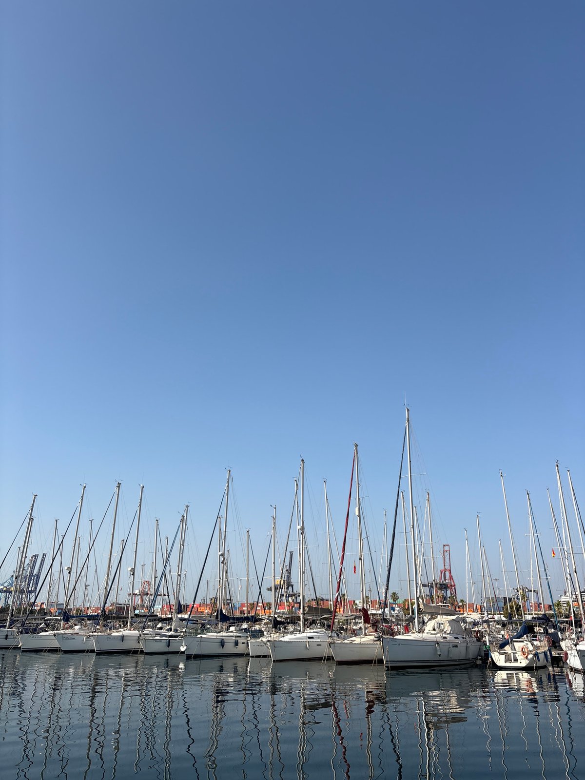 Sailboats moored in calm water at Valencia's marina