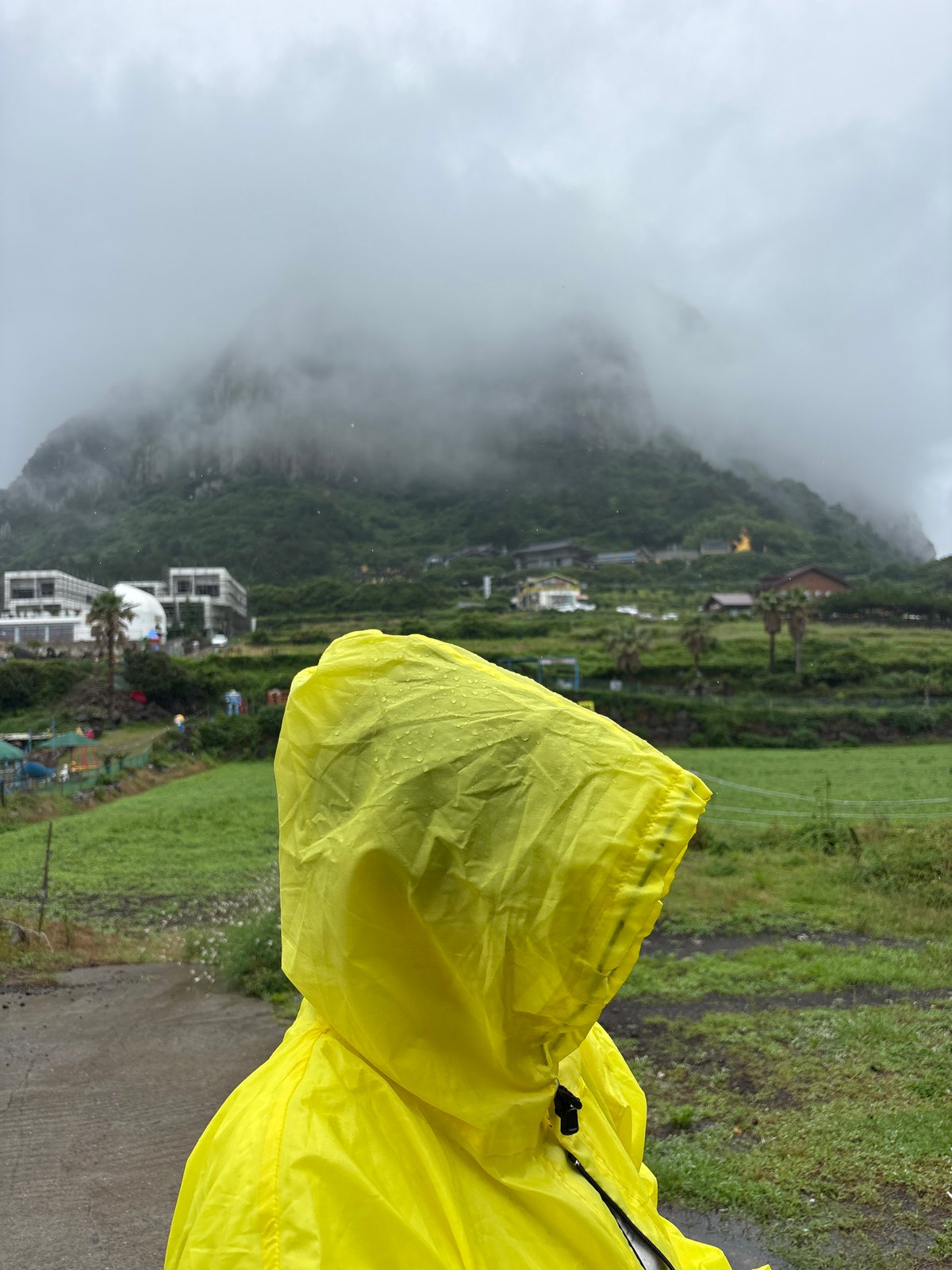 Rainy morning along the Seogwipo coast, Jeju Island