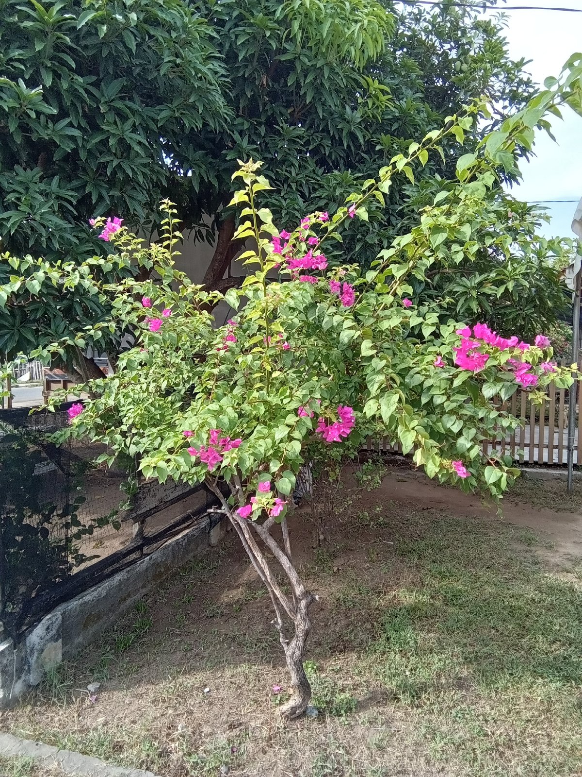 Quiet residential scenes documented across Lhokseumawe, Indonesia overnight