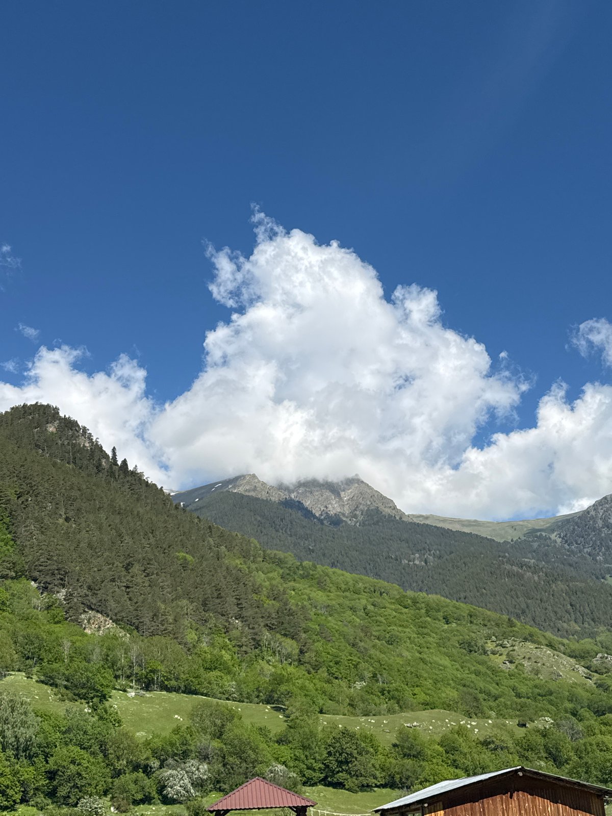 Morning pastoral scenes documented in Russian mountain village