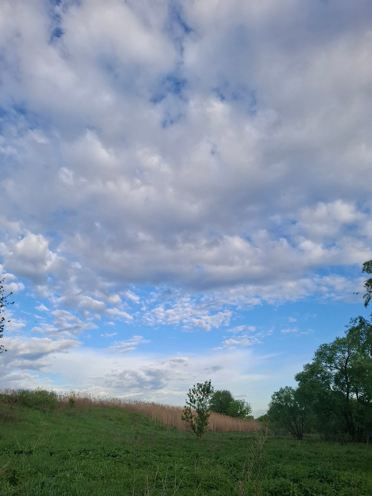 Peaceful afternoon documented in rural Дерезовка, Russia