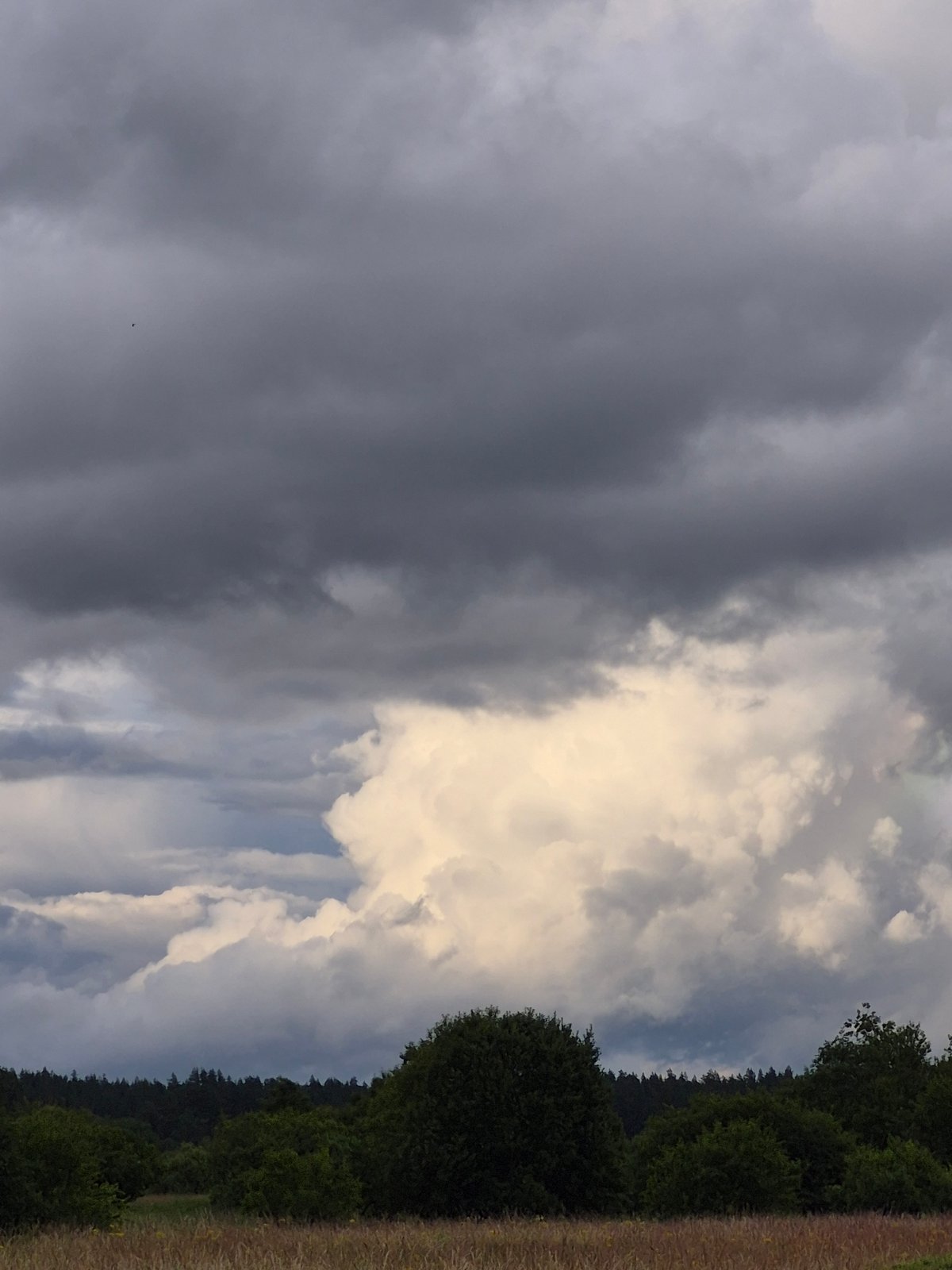 Stormy and shifting skies over fields and forest edges
