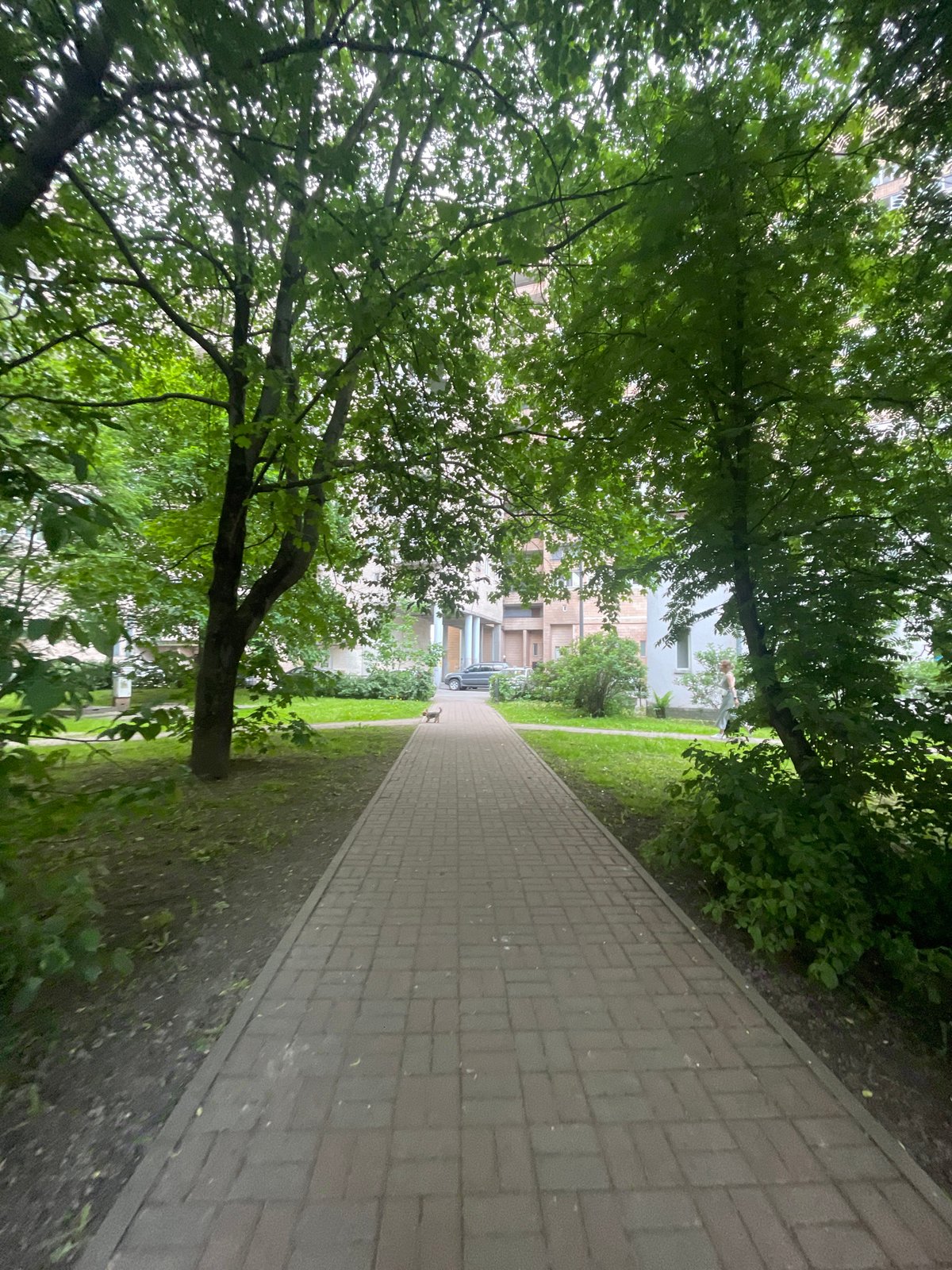 Young person enjoys casual photo session in Saint Petersburg park